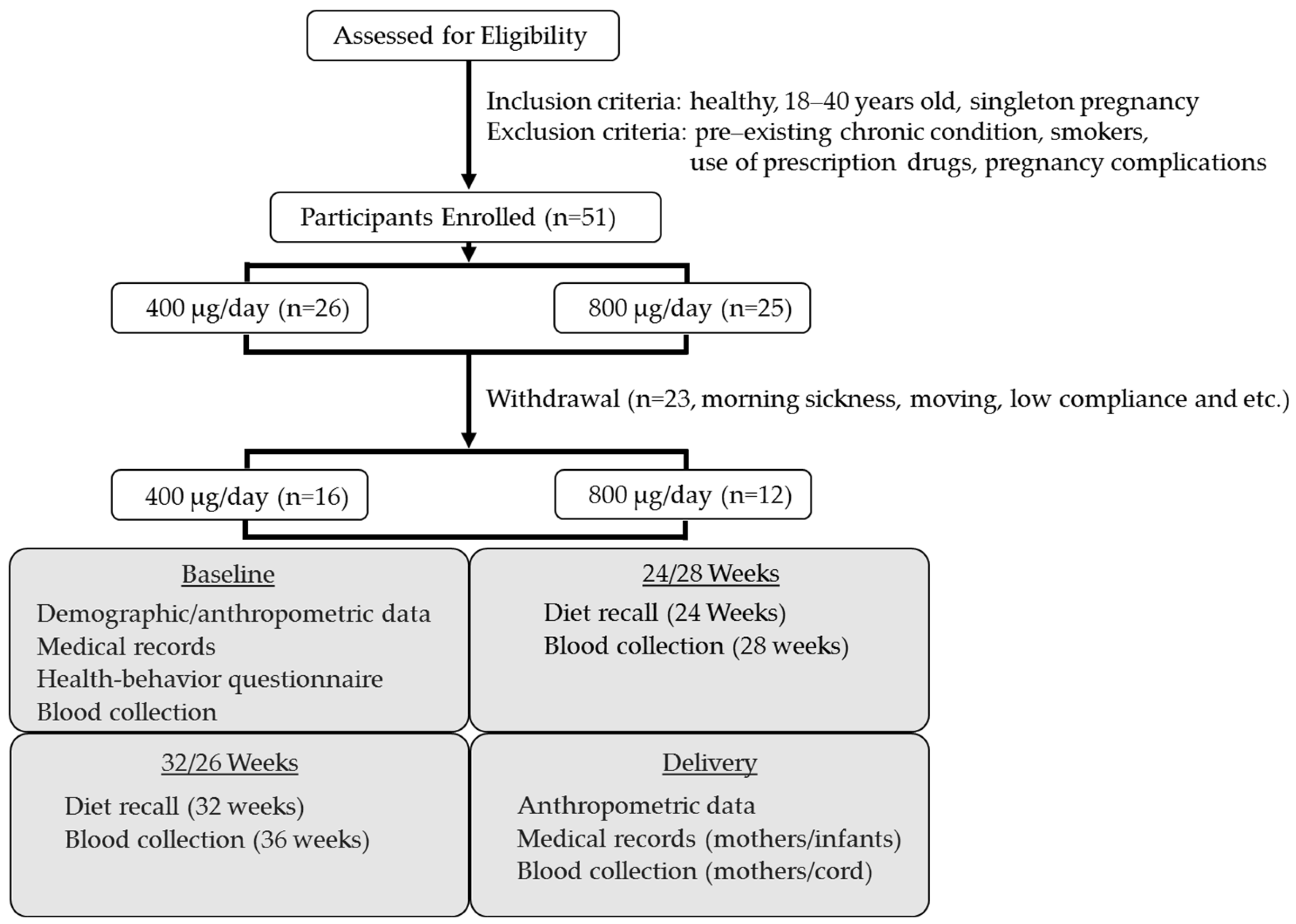 Nutrients 16 03703 g001