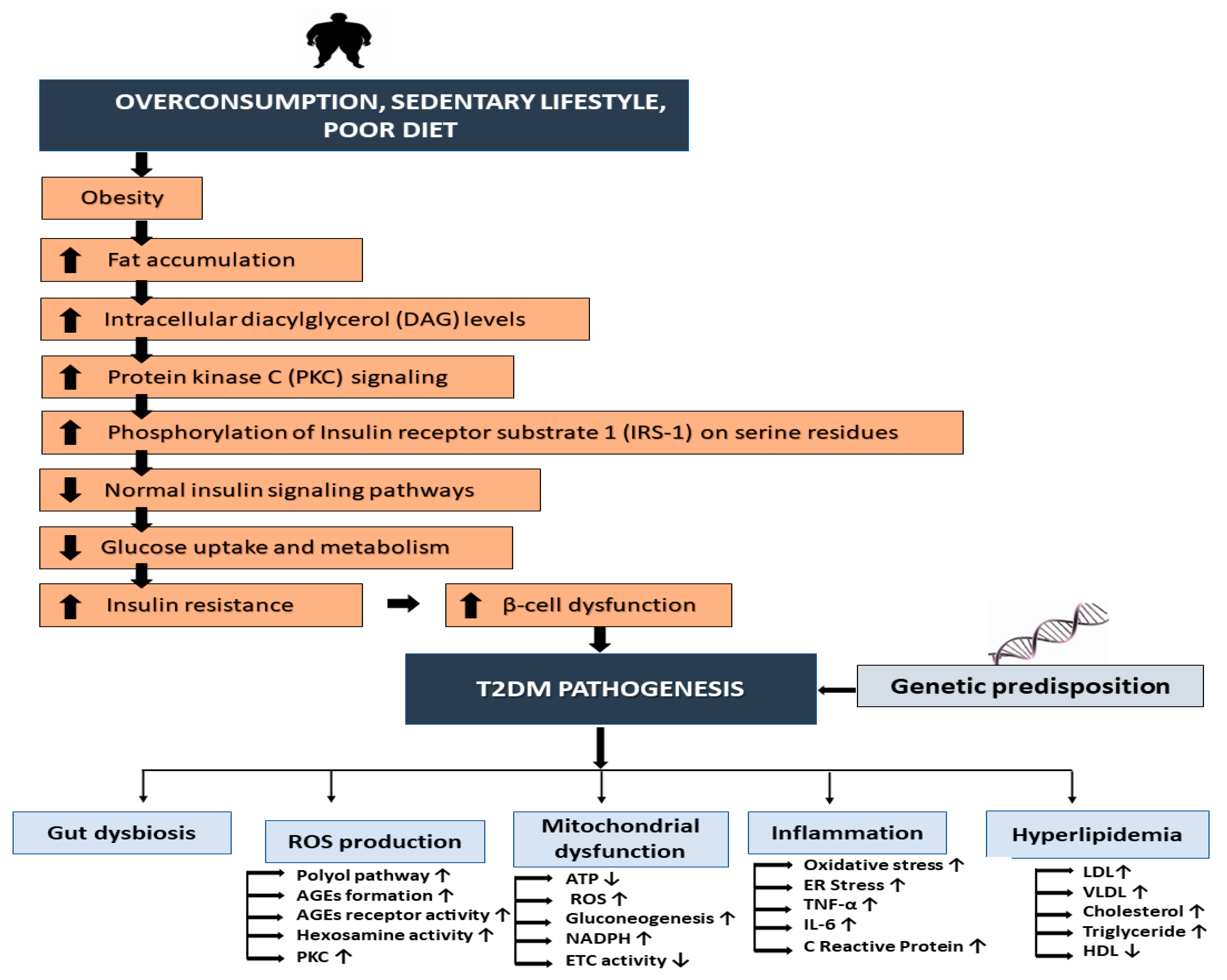 Nutrients 16 03709 g001