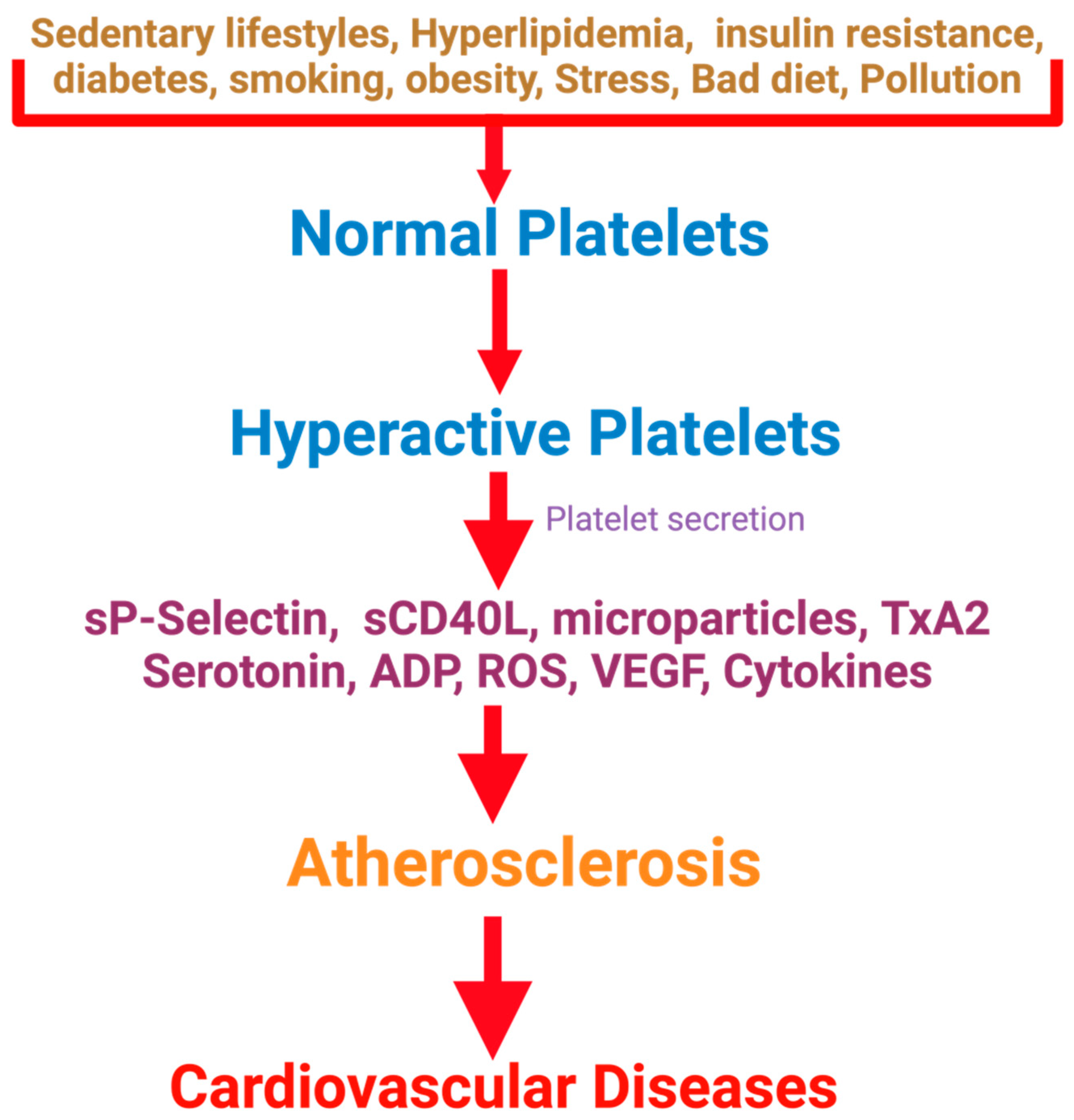 Nutrients 16 03717 g001