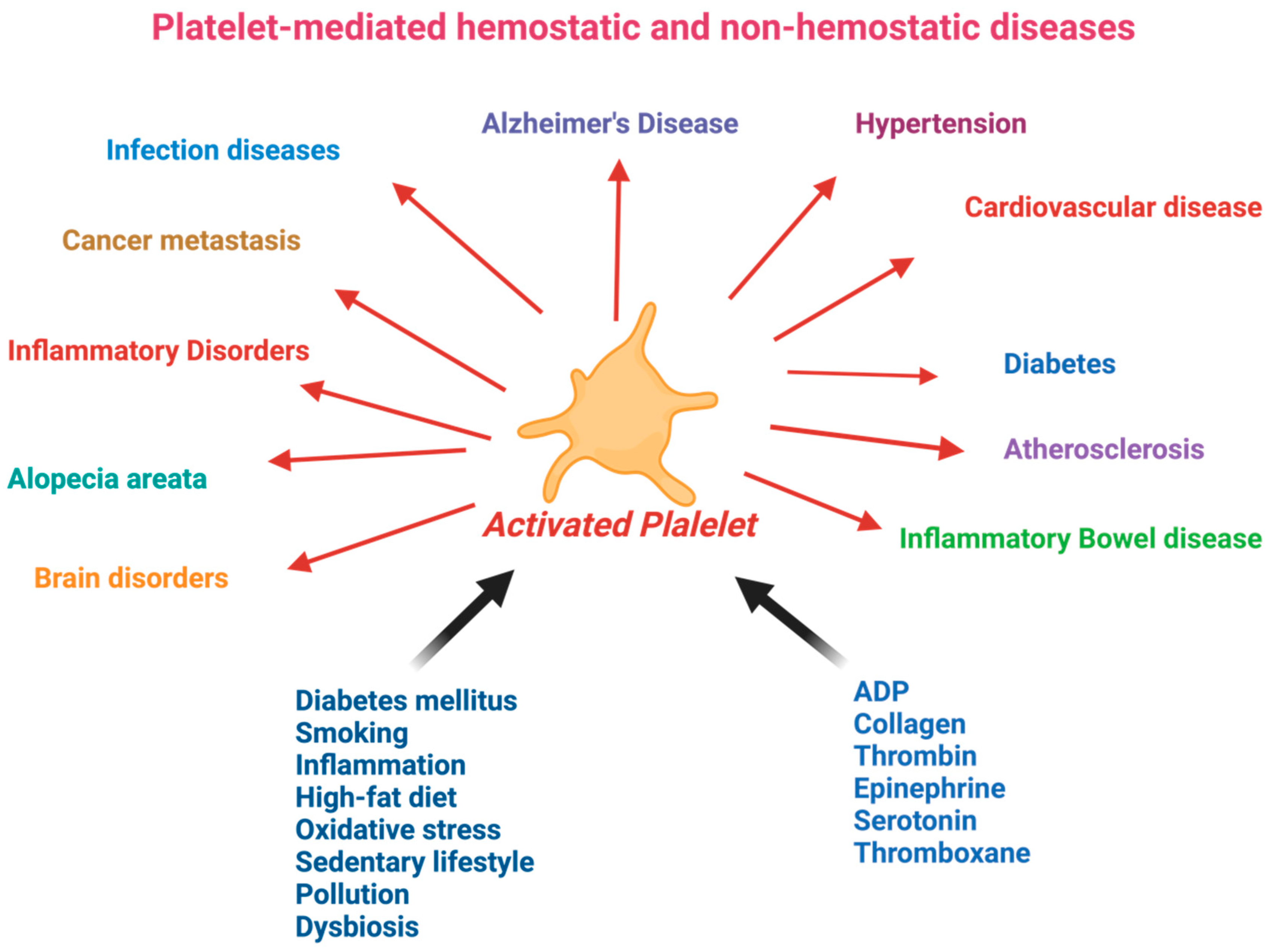 Nutrients 16 03717 g002