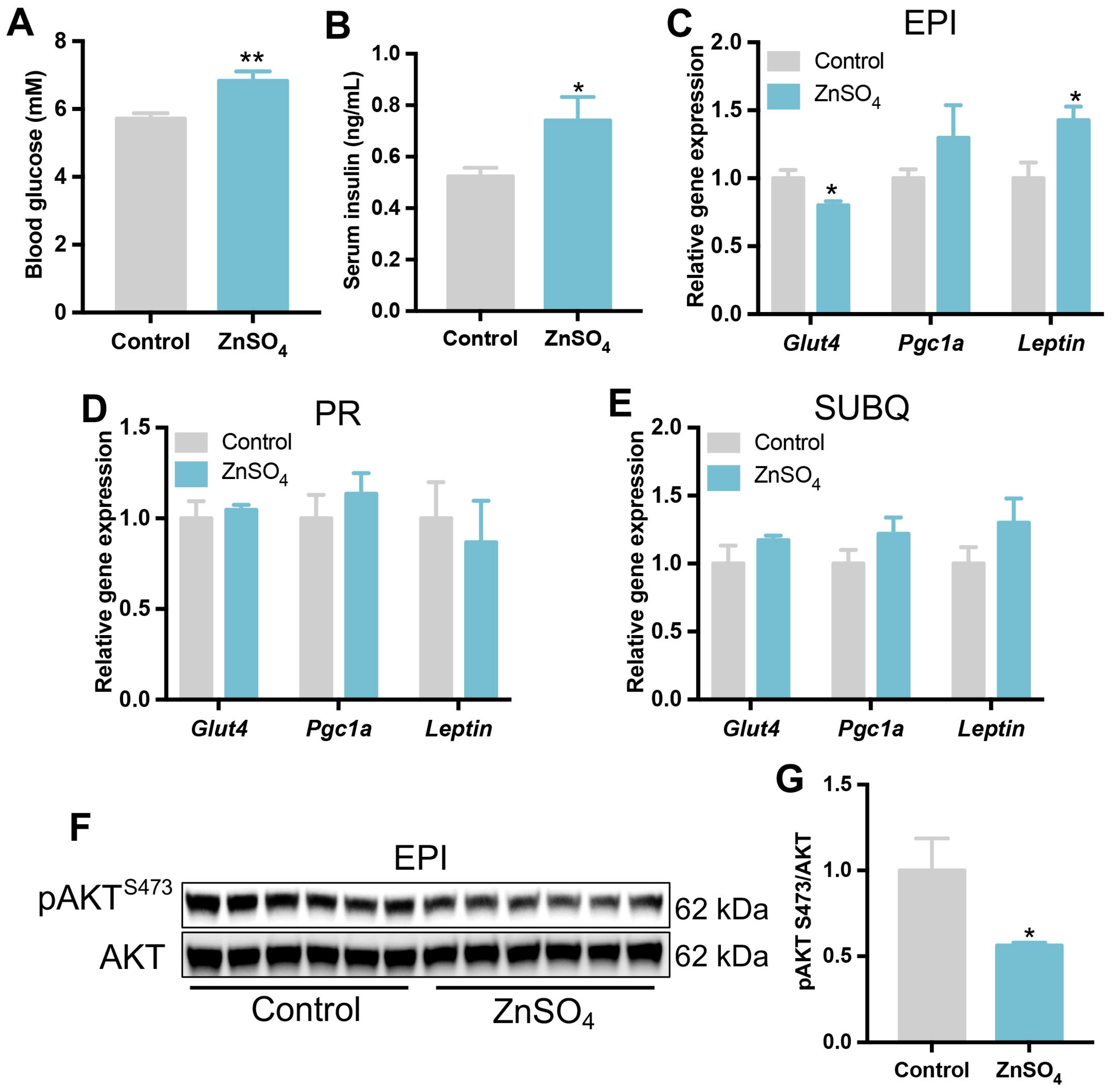Nutrients 16 03719 g003