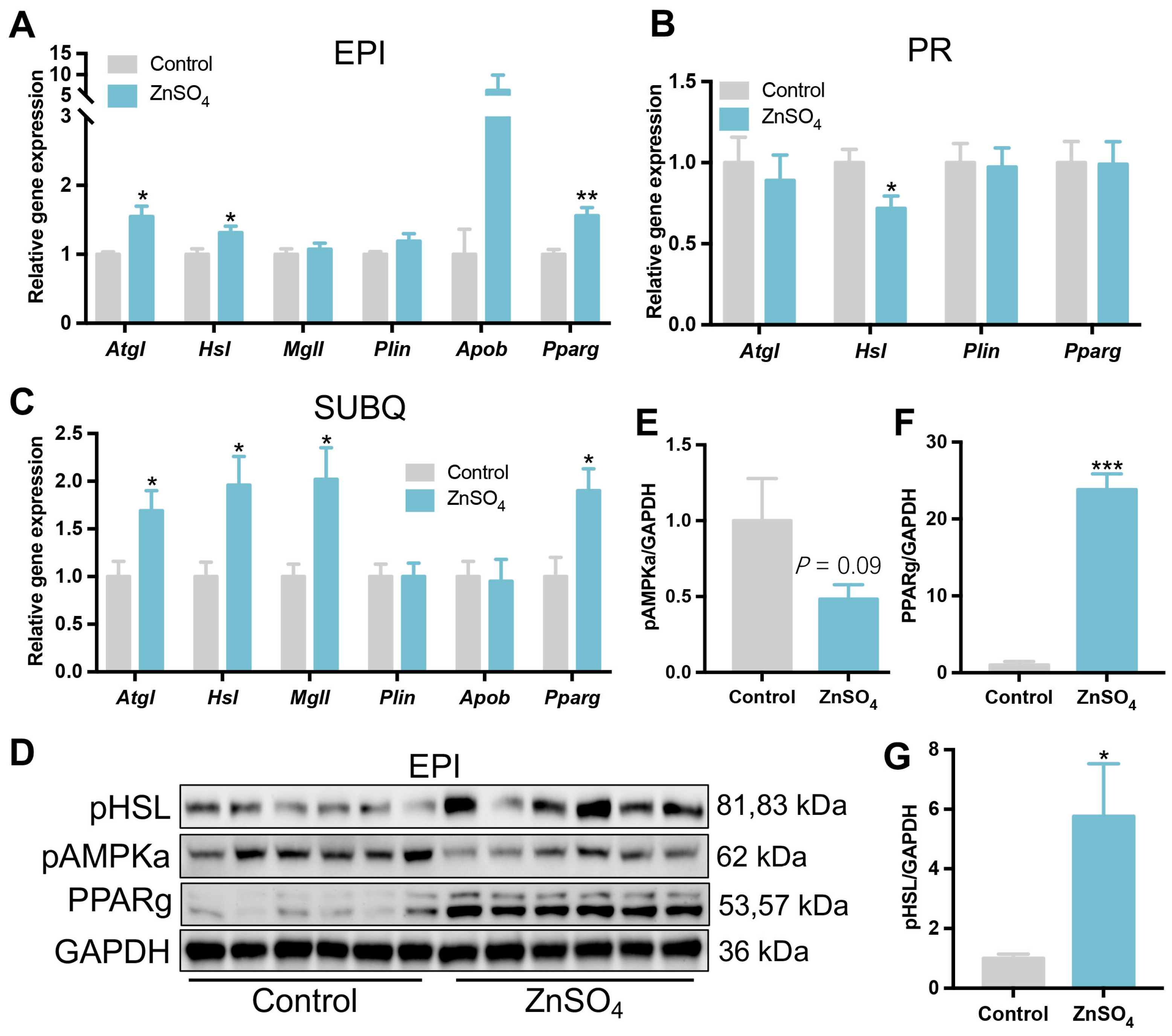 Nutrients 16 03719 g006