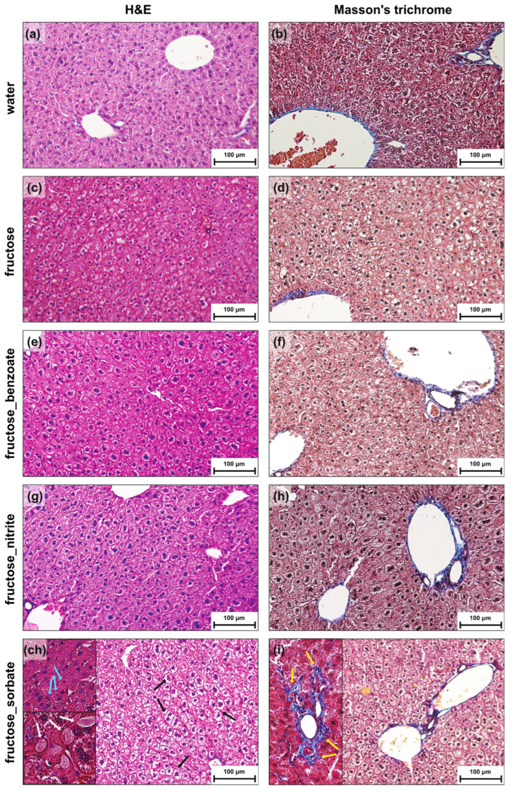Nutrients 16 03722 g001