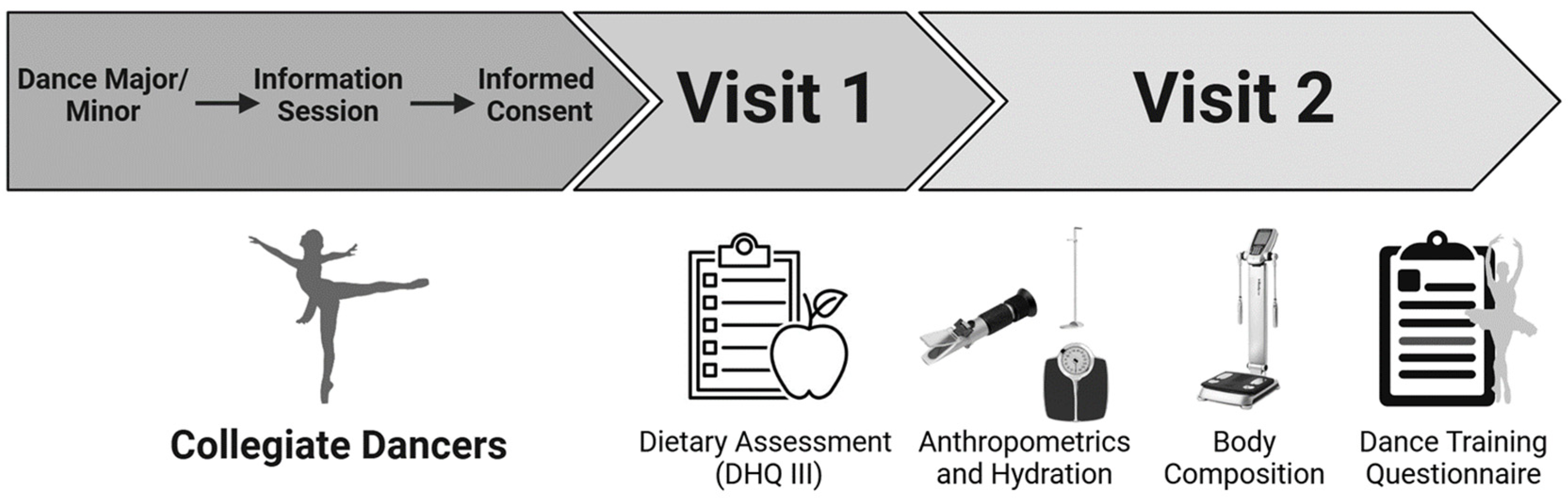 Nutrients 16 03733 g001