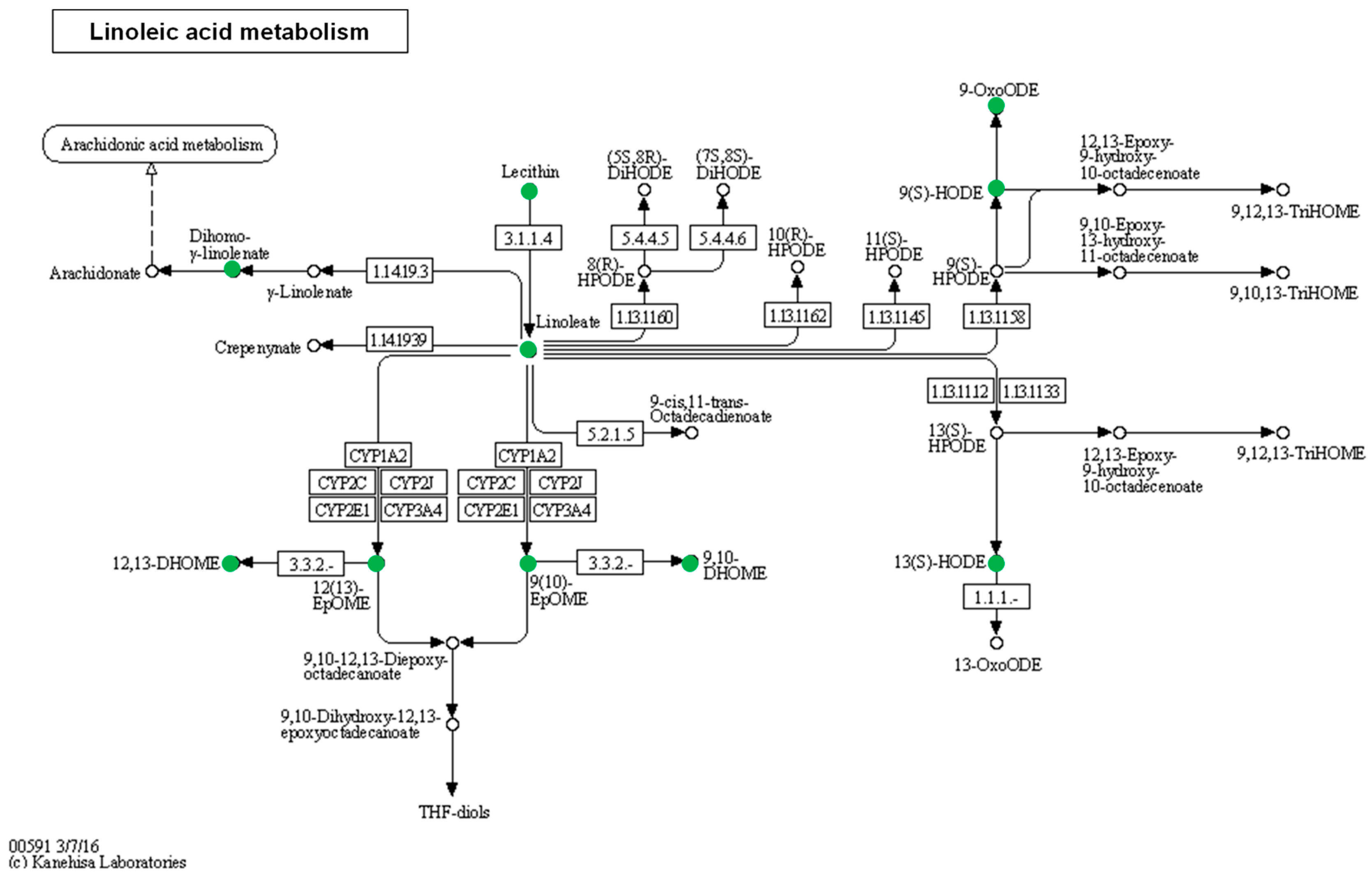 Nutrients 16 03739 g001