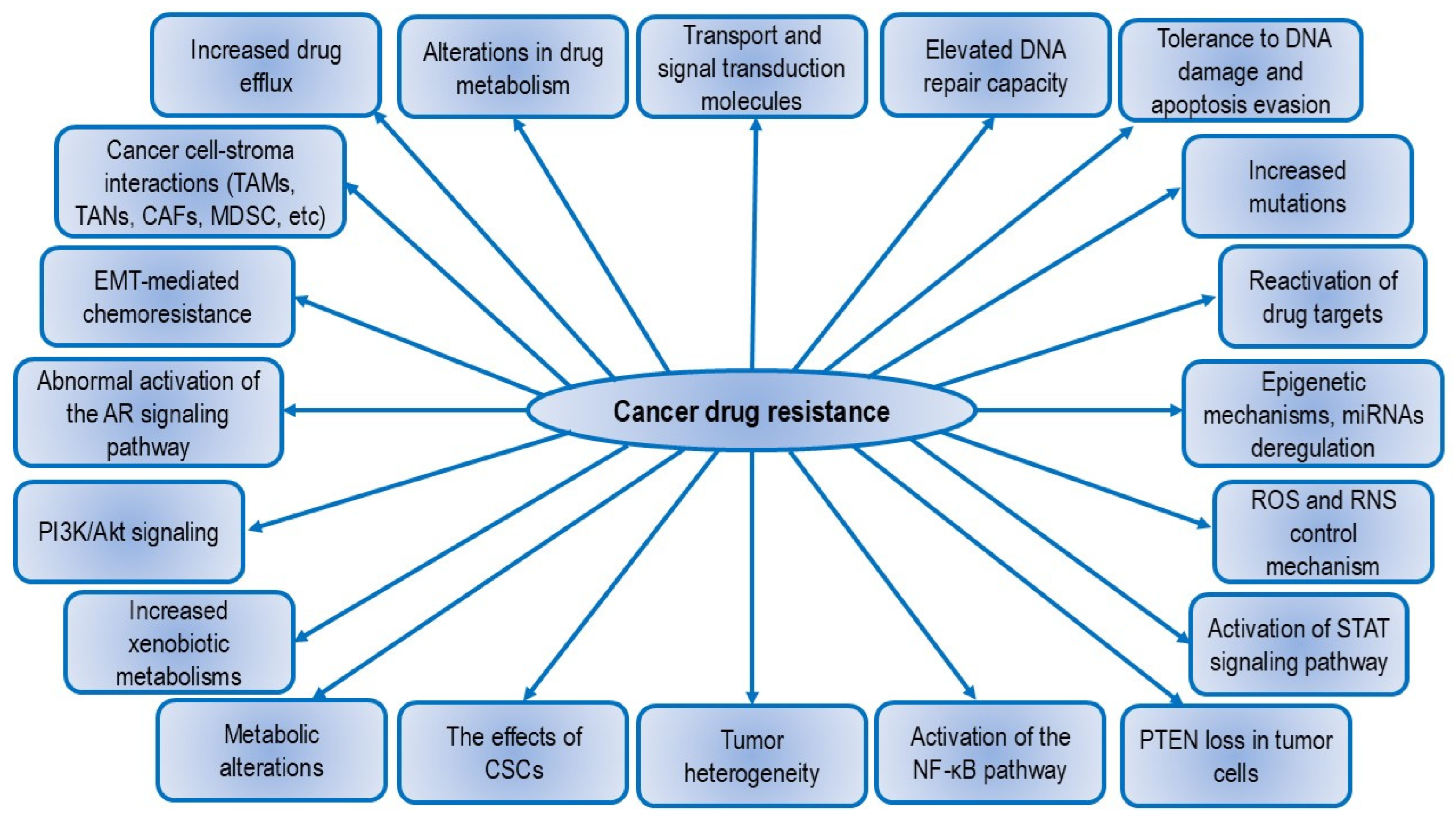 Nutrients 16 03741 g002