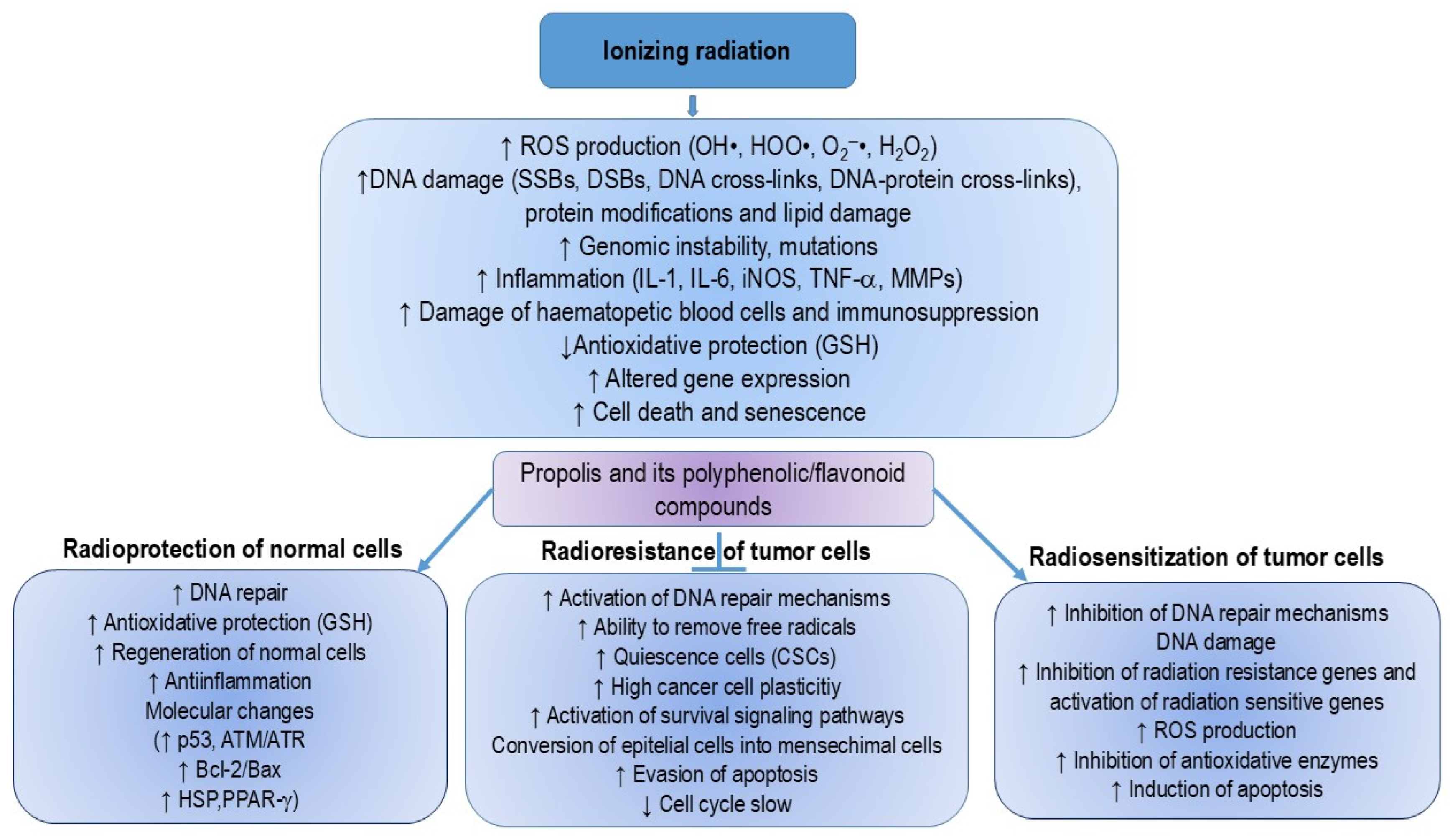 Nutrients 16 03741 g006