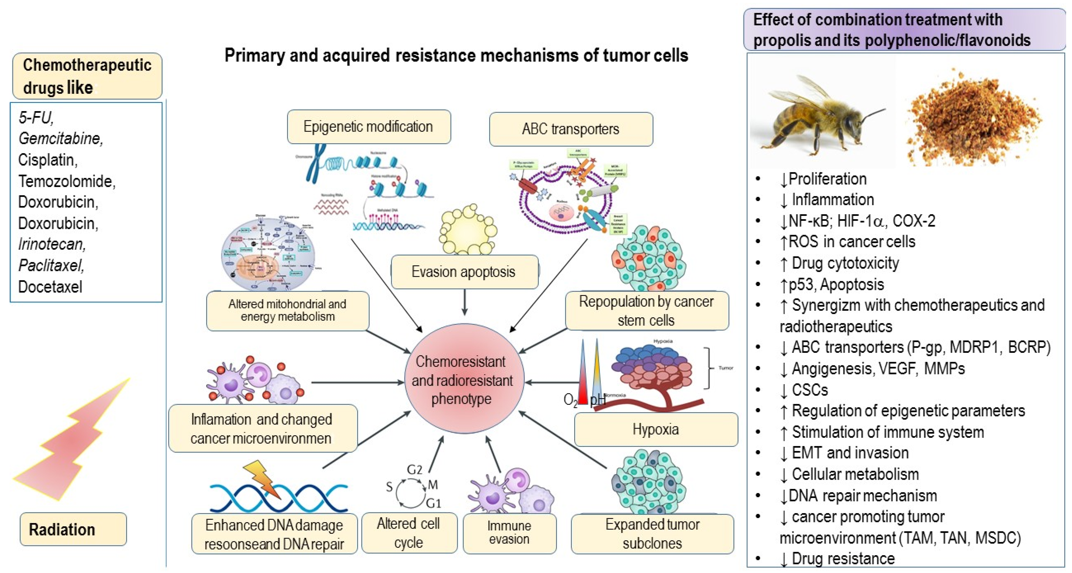 Nutrients 16 03741 g007