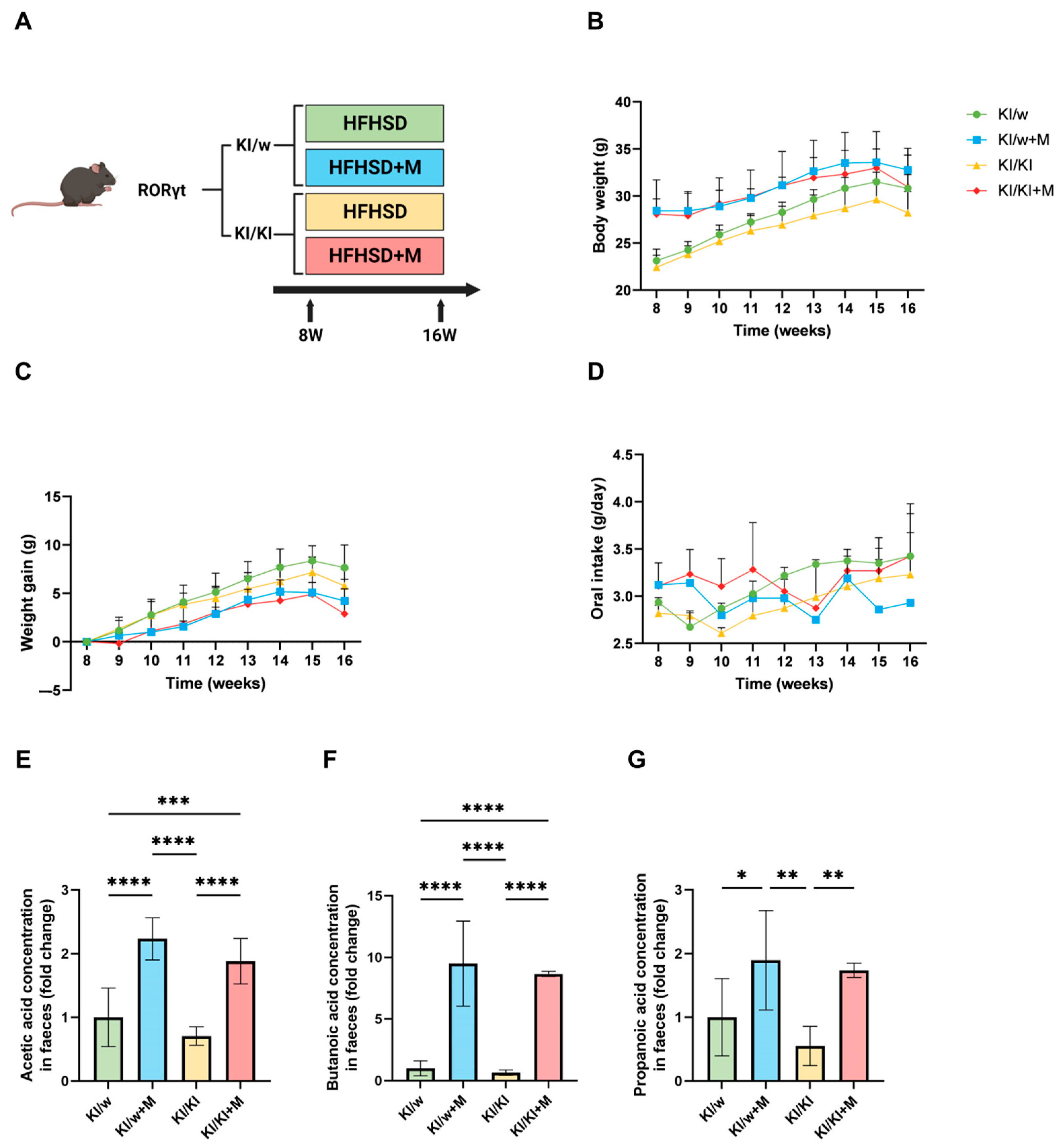 Nutrients 16 03743 g001