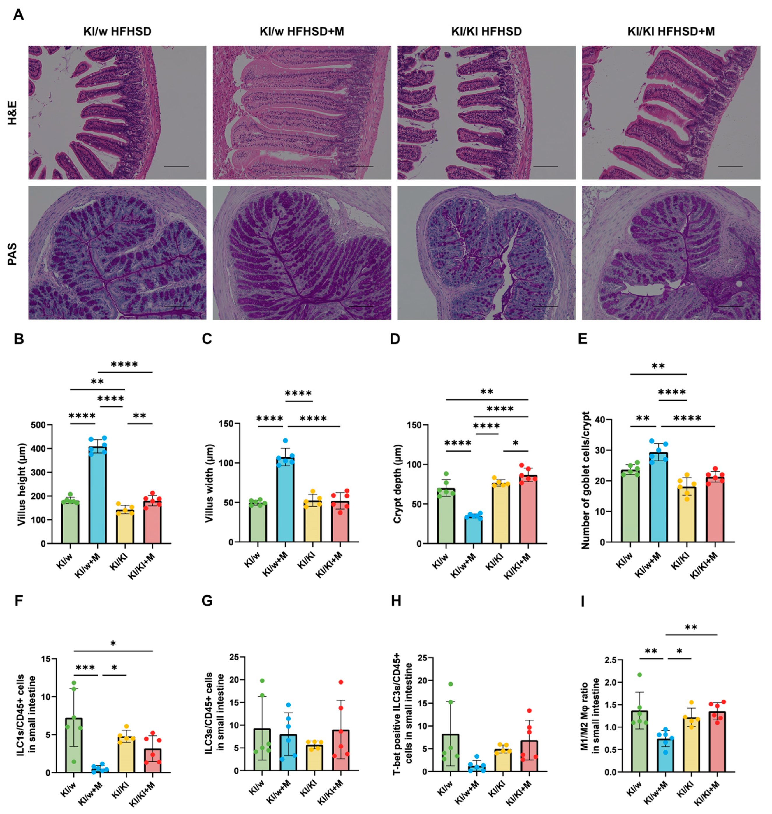 Nutrients 16 03743 g003