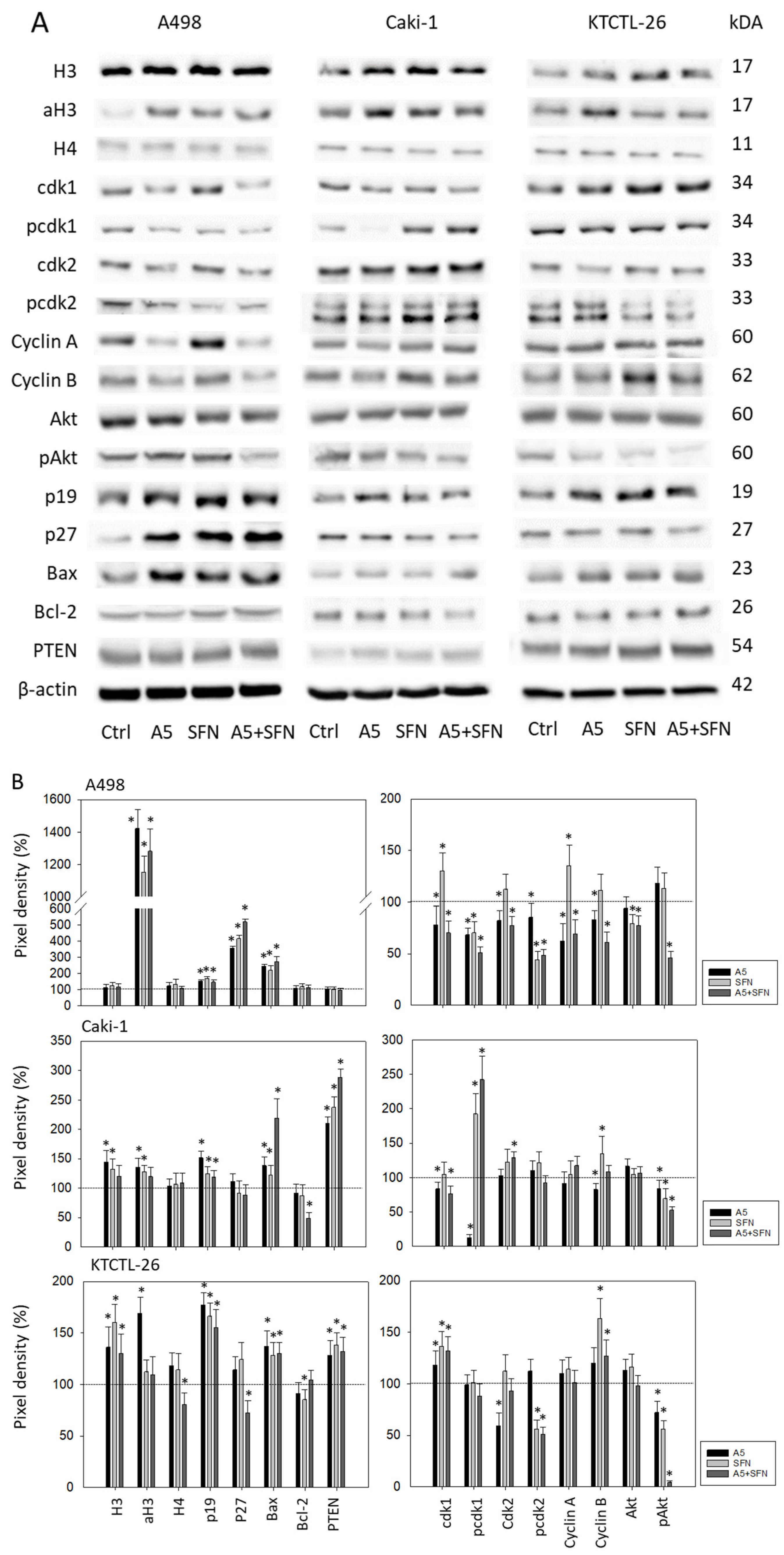 Nutrients 16 03750 g006