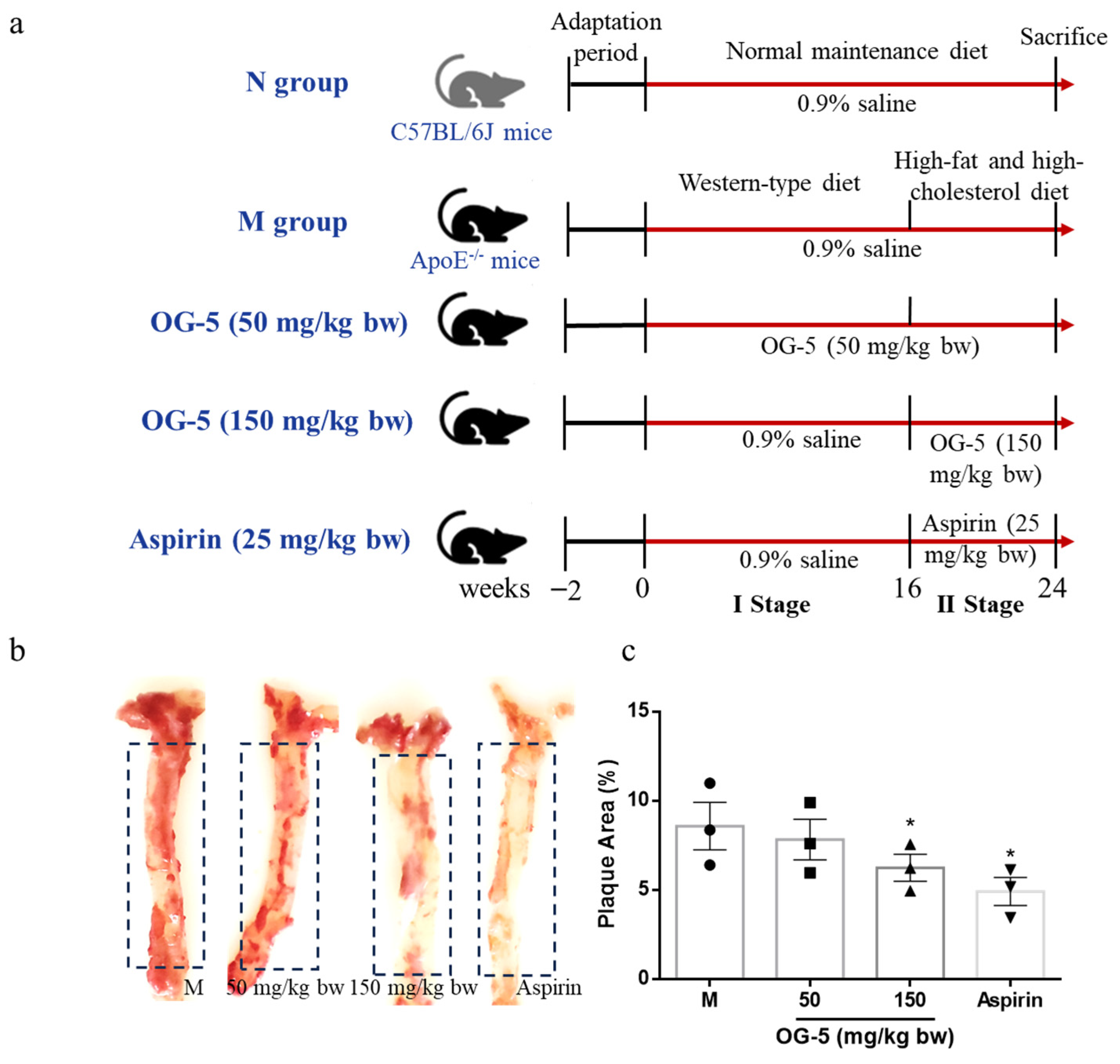 Nutrients 16 03752 g001