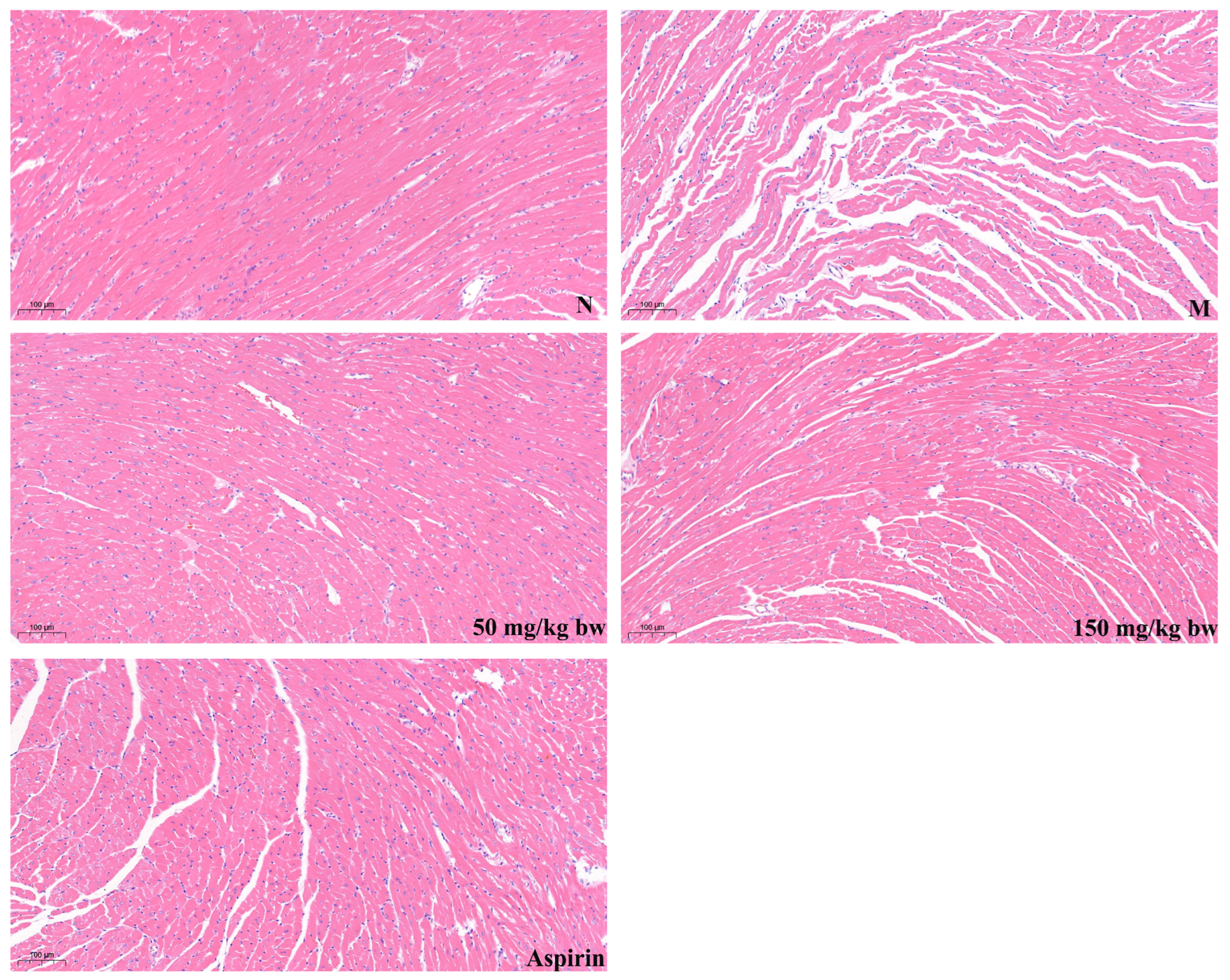 Nutrients 16 03752 g003