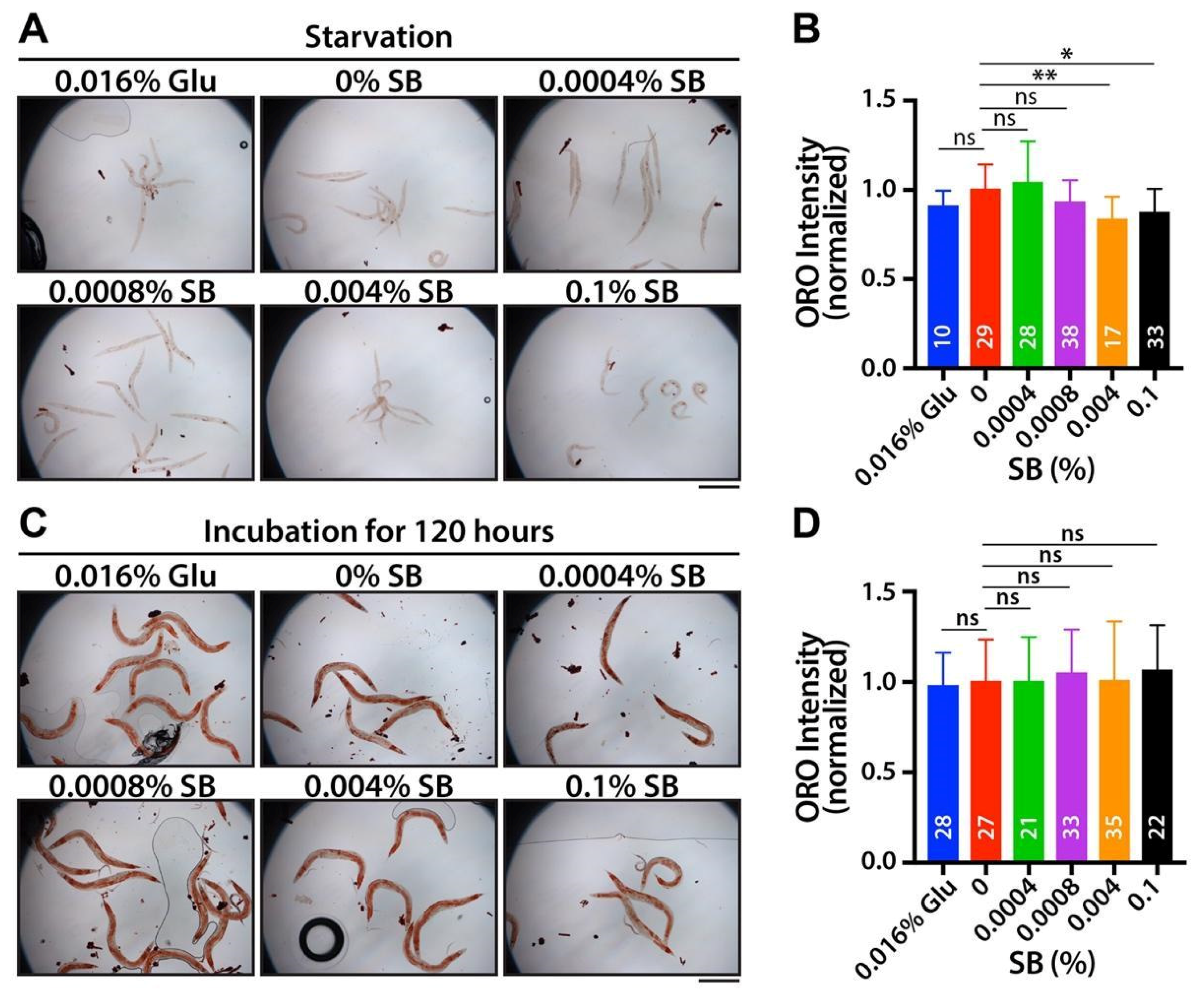 Nutrients 16 03753 g002