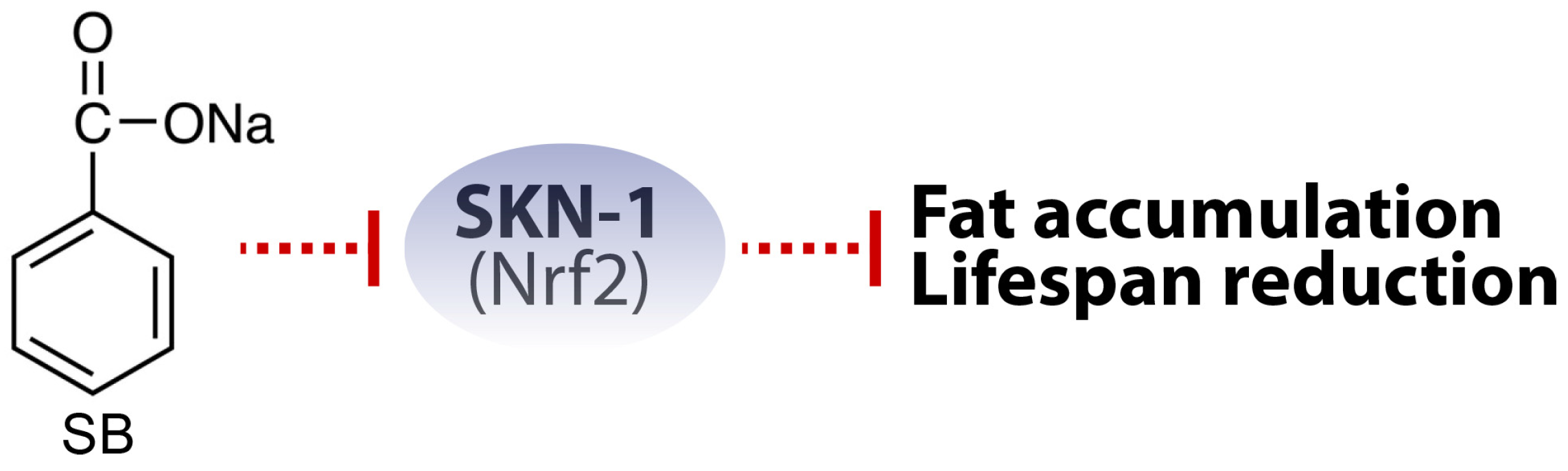 Nutrients 16 03753 g006