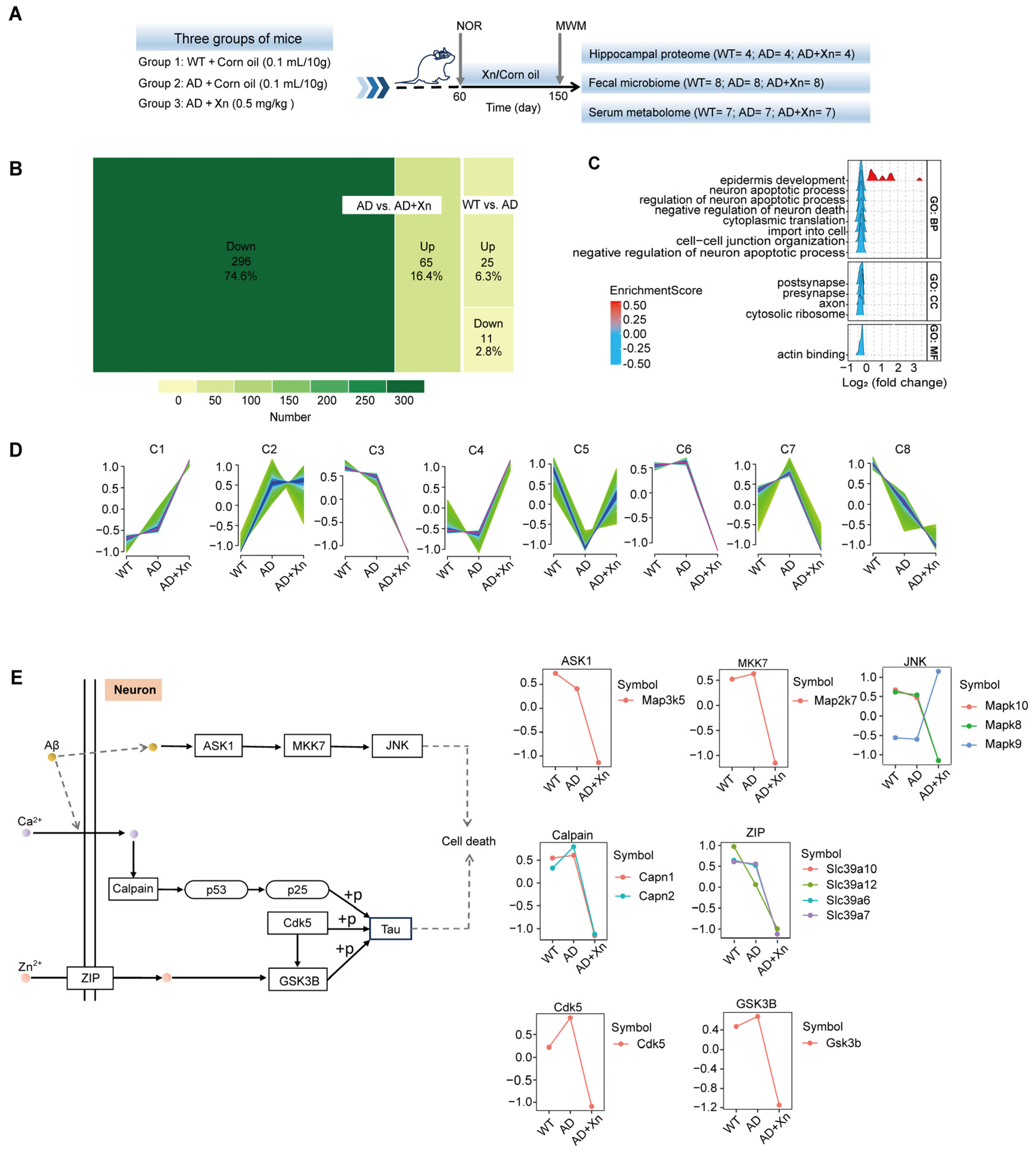 Nutrients 16 03754 g001