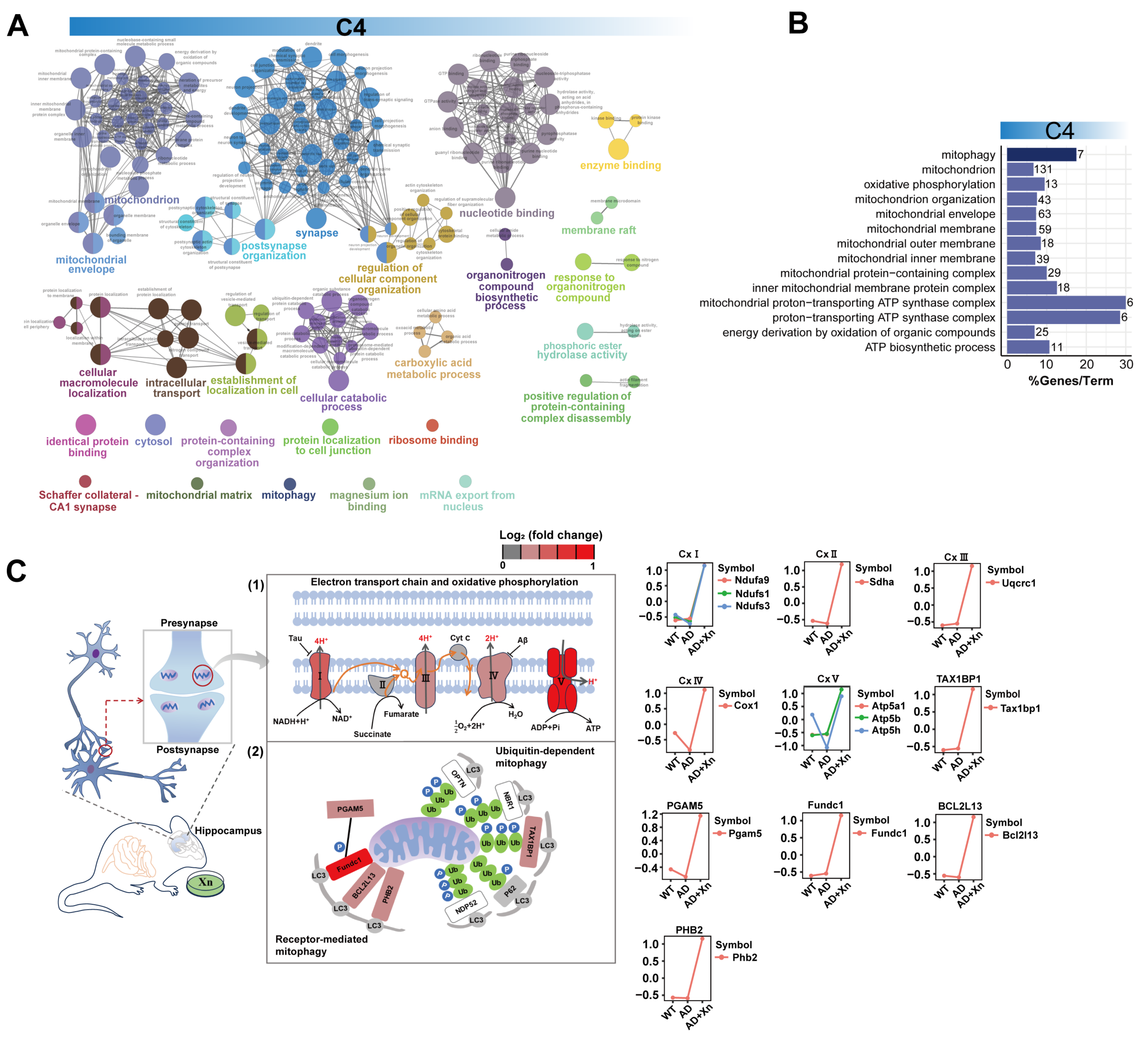 Nutrients 16 03754 g002