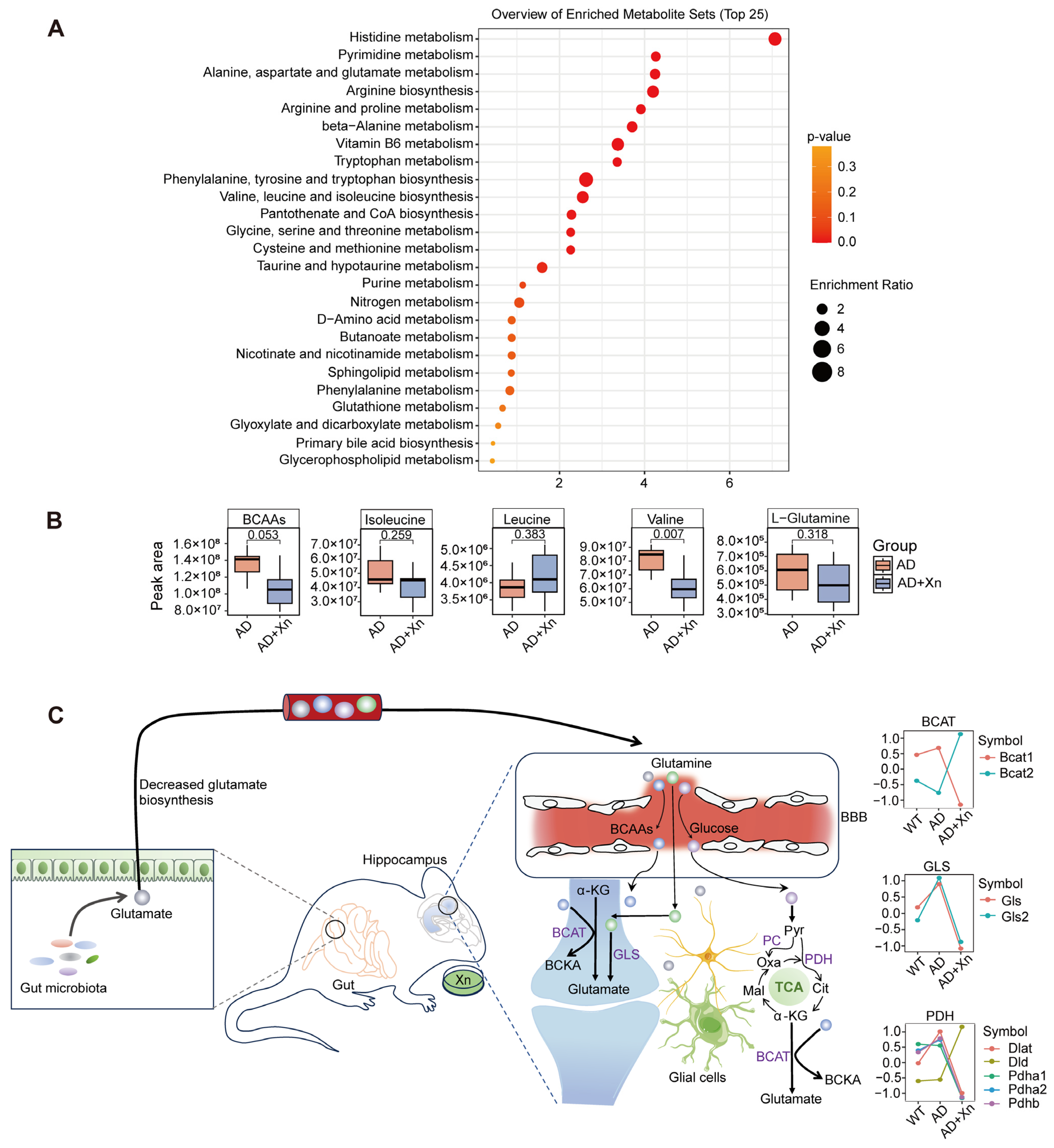 Nutrients 16 03754 g005