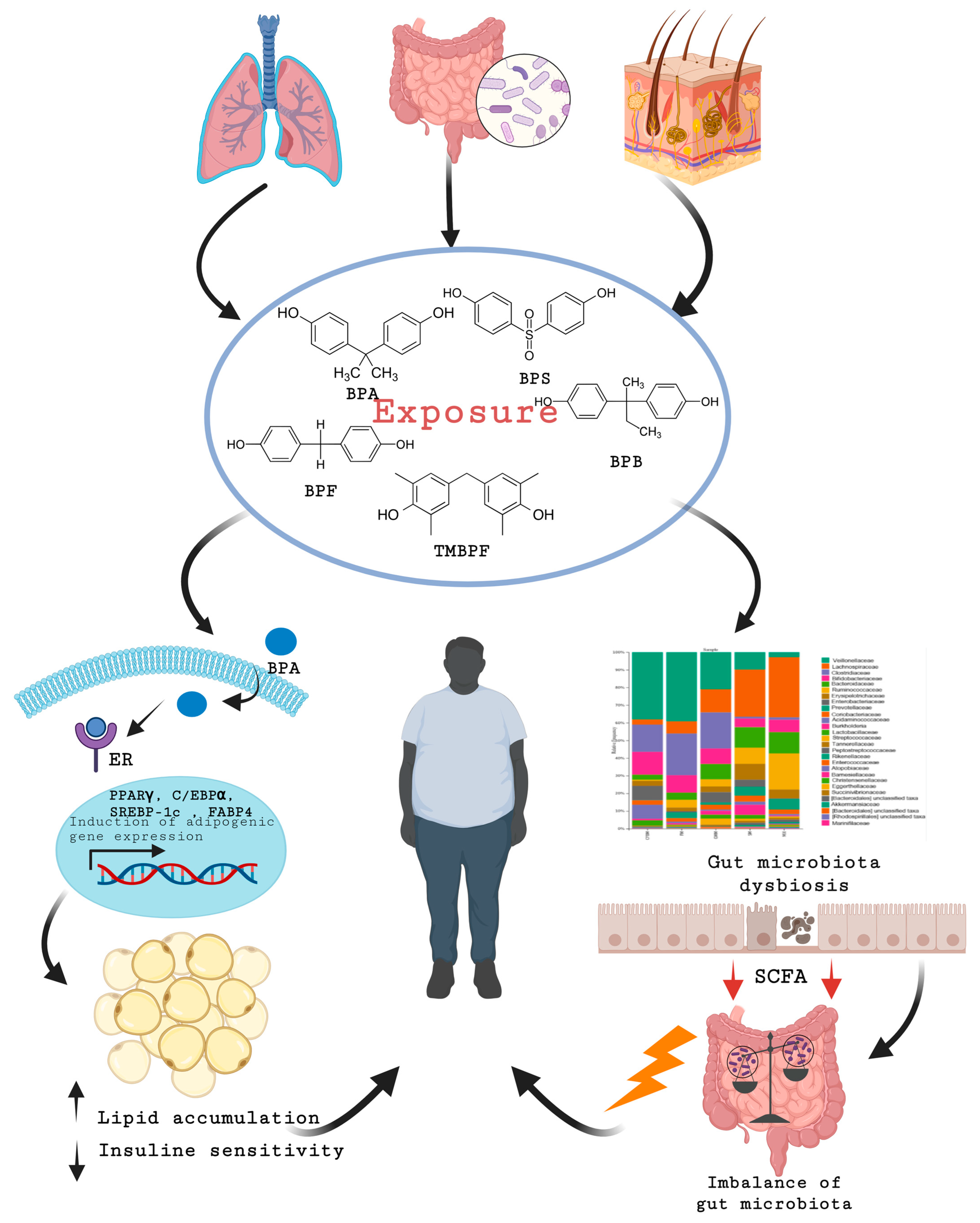 Nutrients 16 03757 g001
