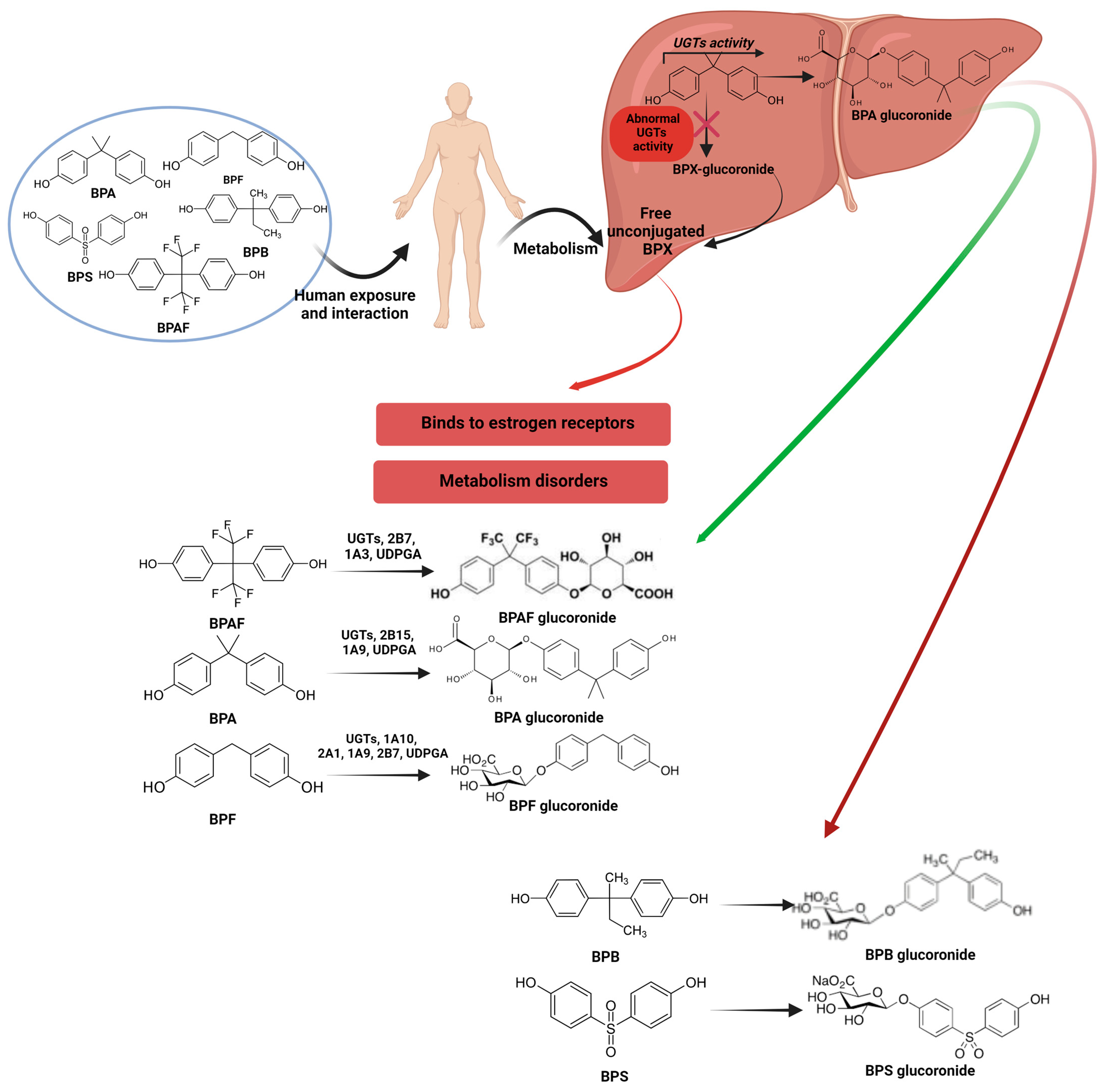 Nutrients 16 03757 g002