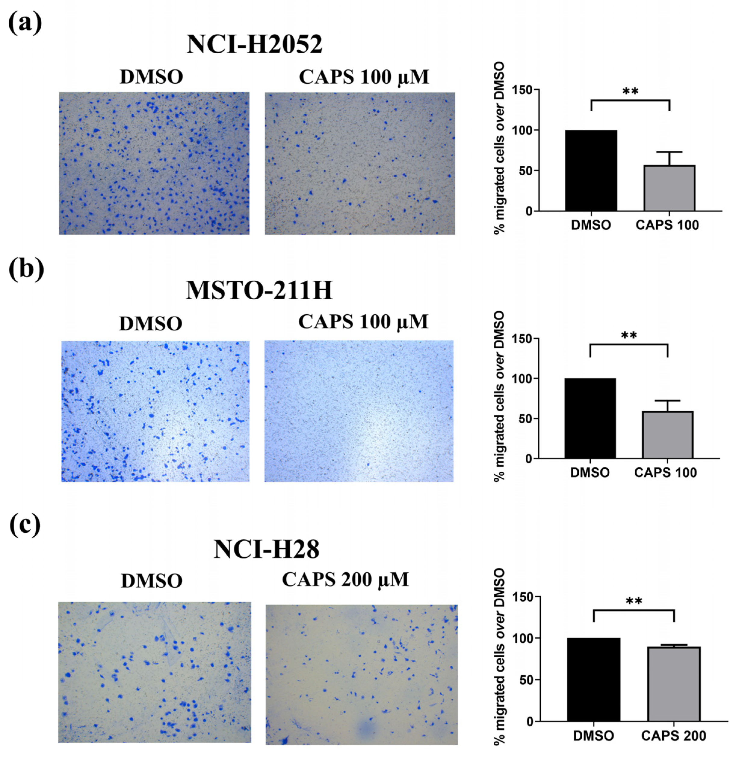 Nutrients 16 03758 g005 Nutrients 16 03758 g005