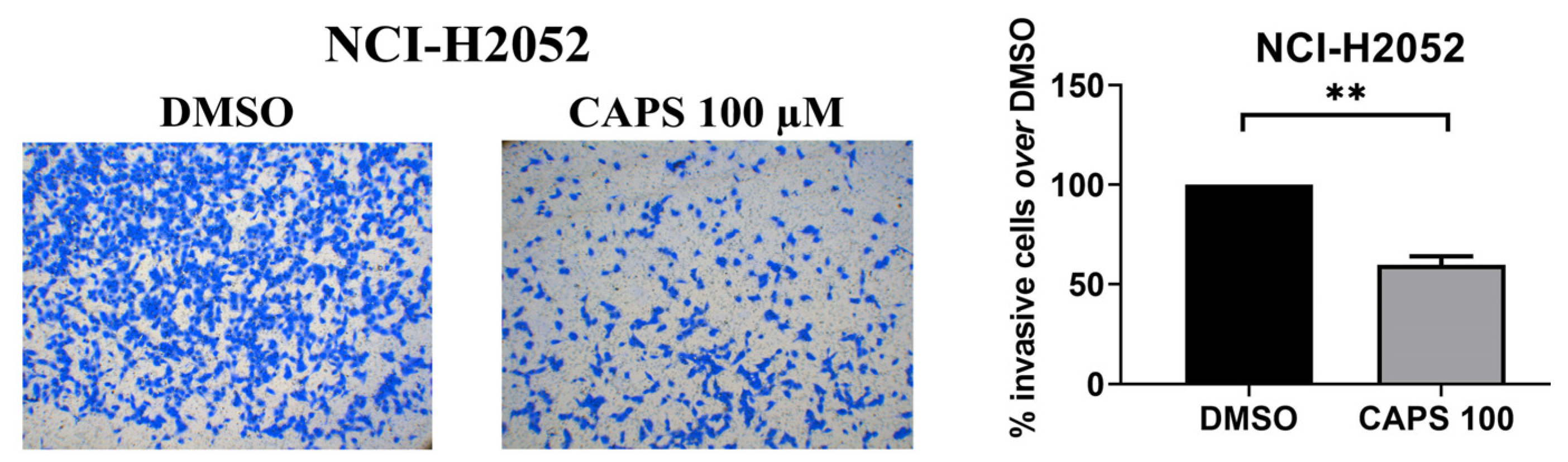Nutrients 16 03758 g006 Nutrients 16 03758 g006