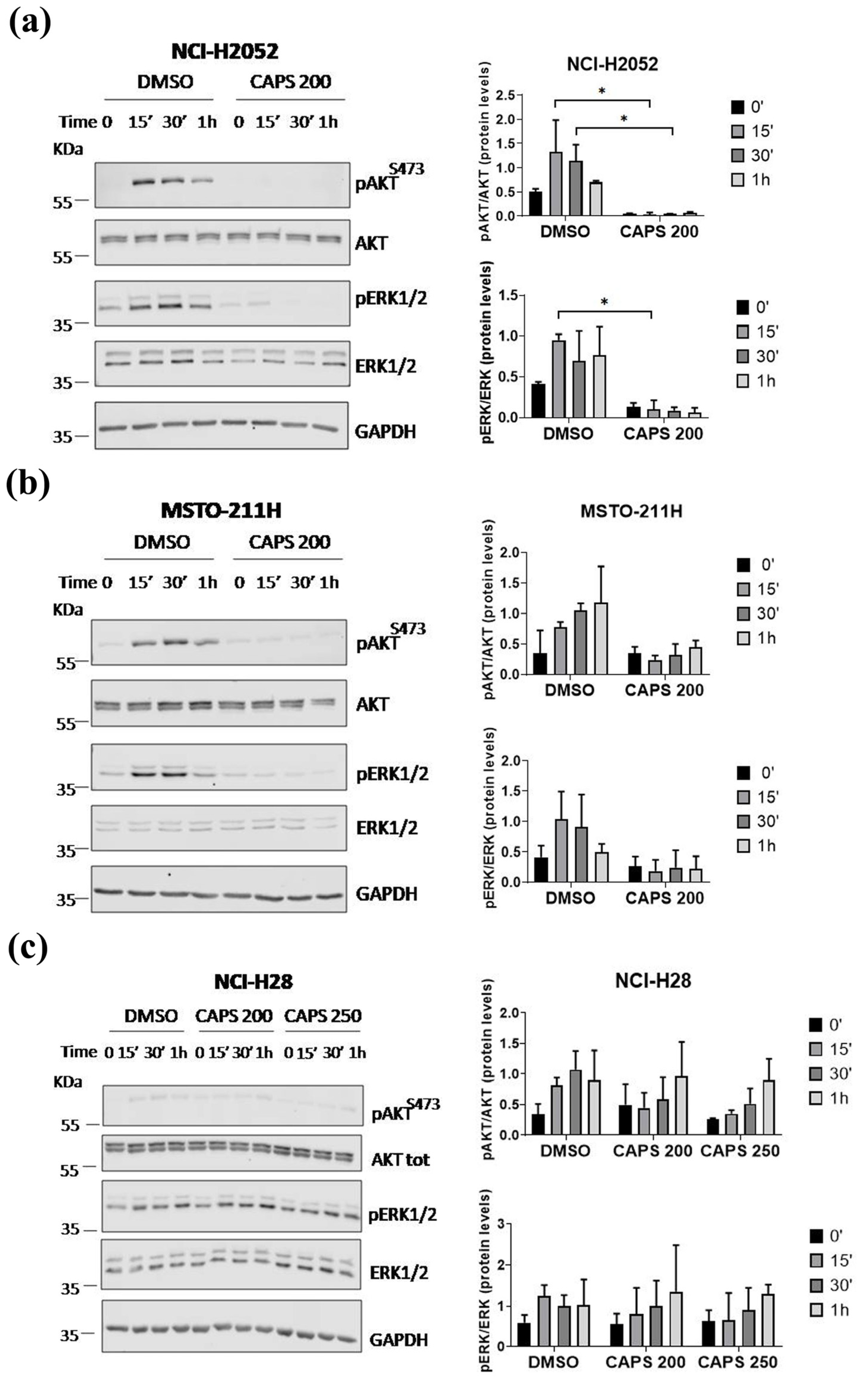 Nutrients 16 03758 g007 Nutrients 16 03758 g007