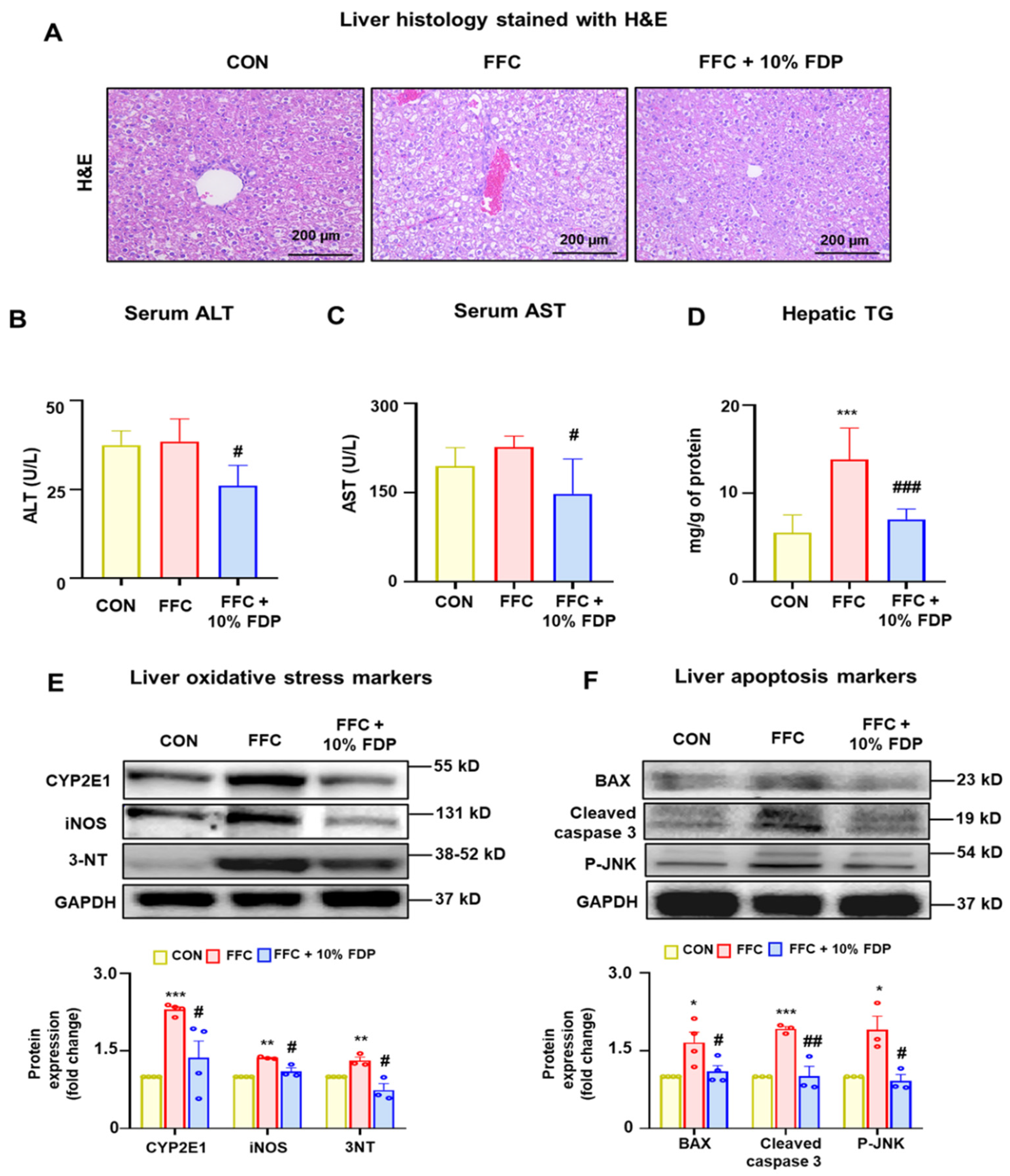 Nutrients 16 03760 g003