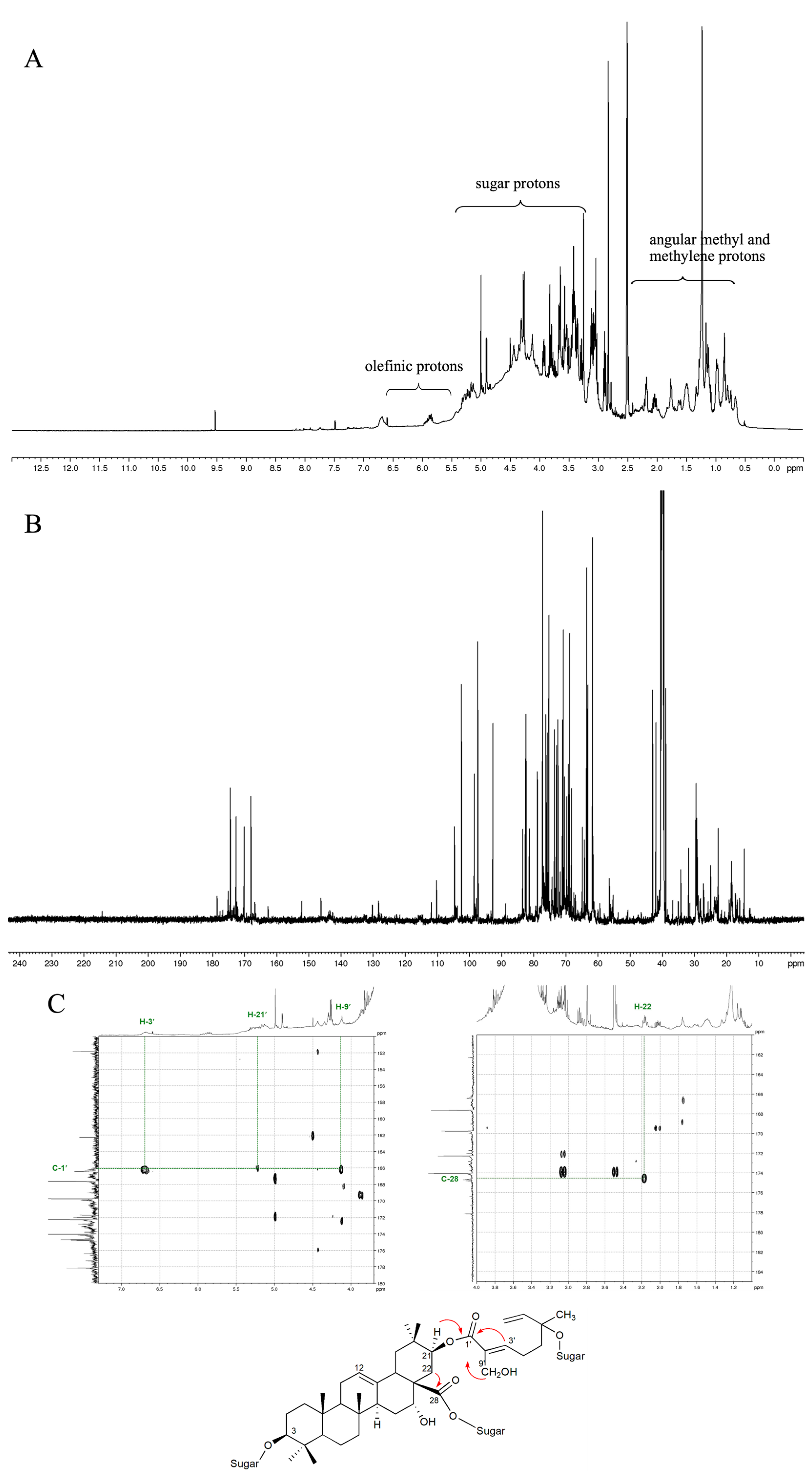 Nutrients 16 03764 g001 Nutrients 16 03764 g001