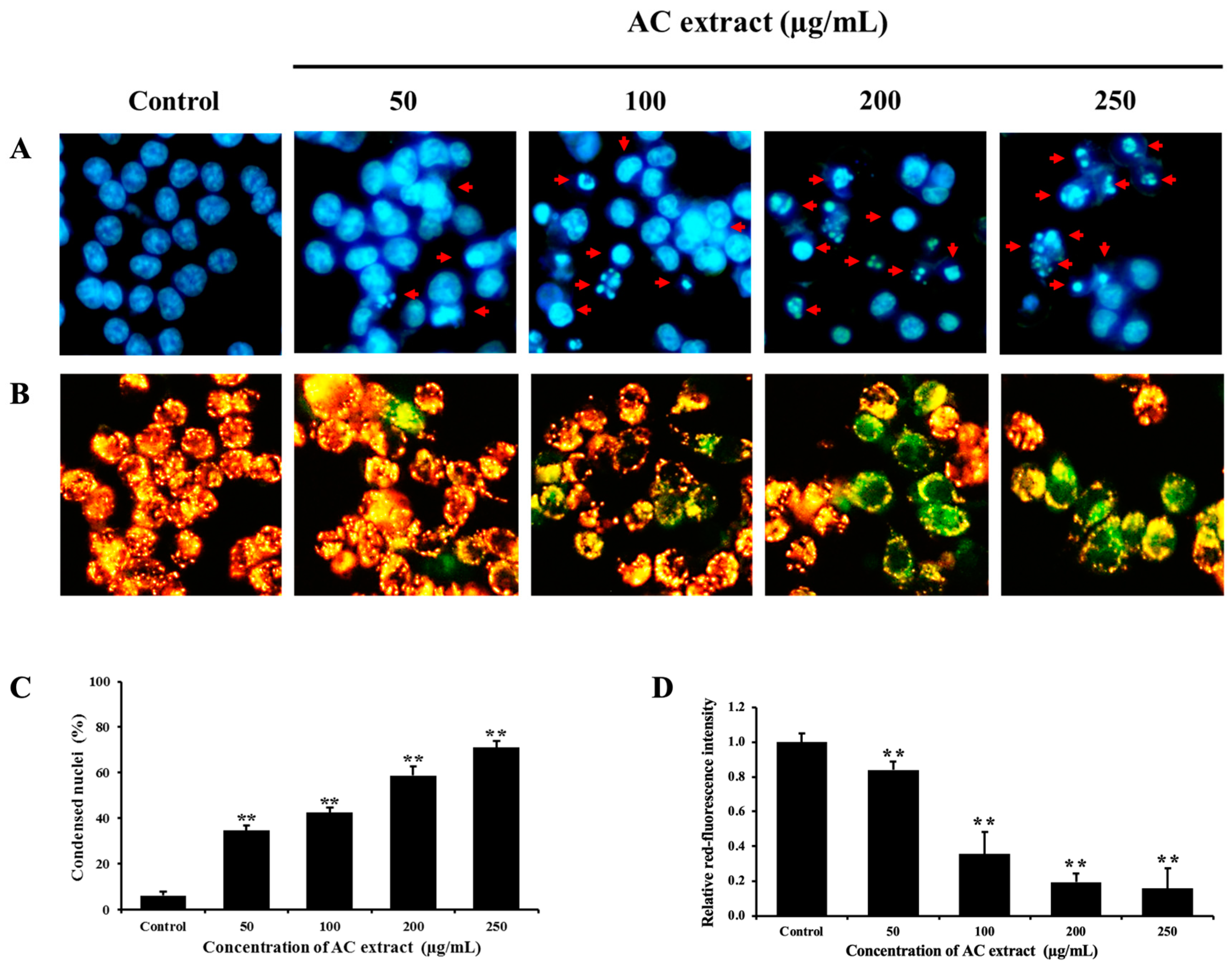 Nutrients 16 03764 g003 Nutrients 16 03764 g003