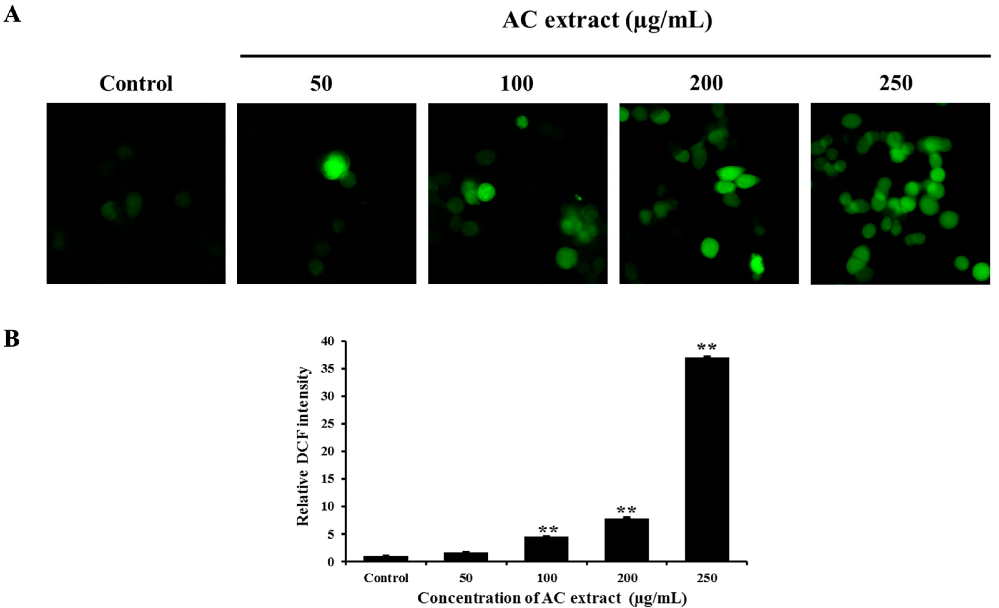 Nutrients 16 03764 g005 Nutrients 16 03764 g005