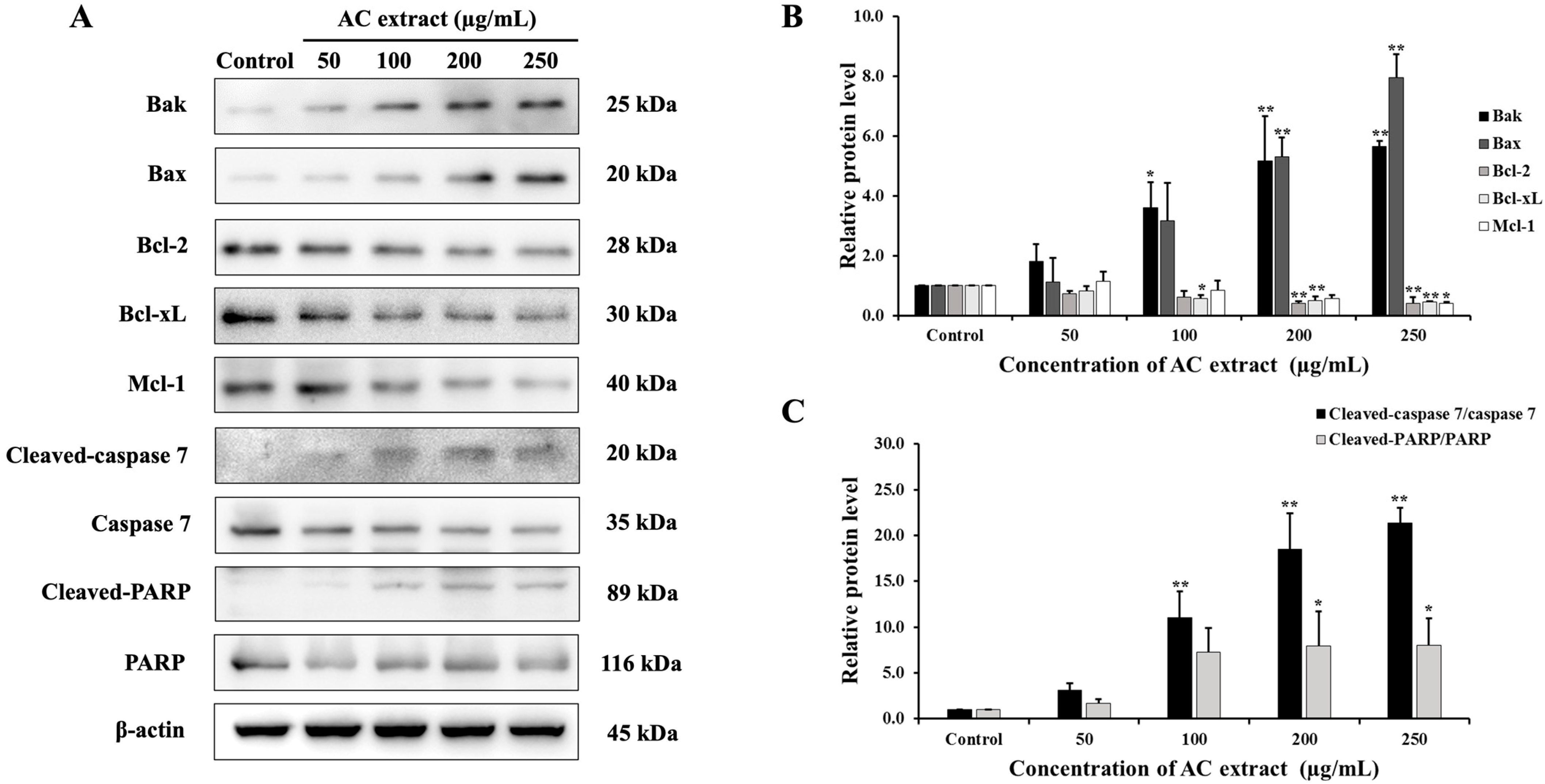 Nutrients 16 03764 g006 Nutrients 16 03764 g006