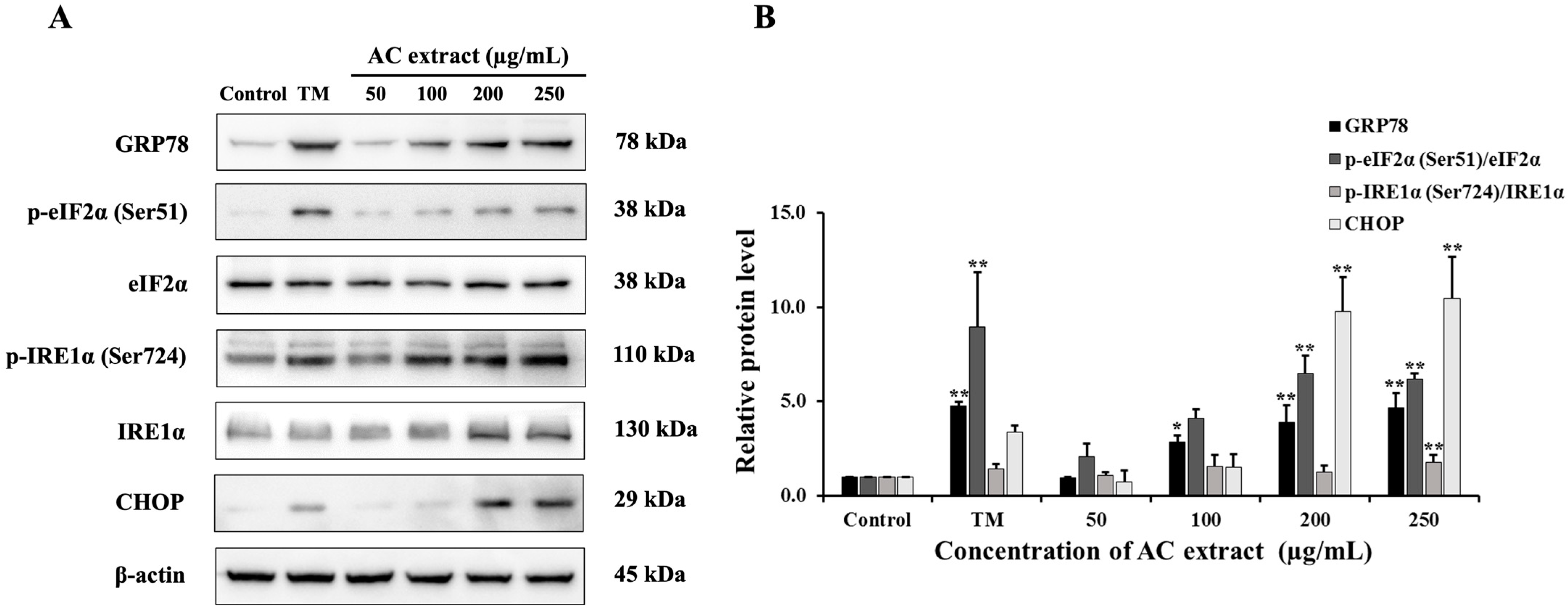 Nutrients 16 03764 g007 Nutrients 16 03764 g007