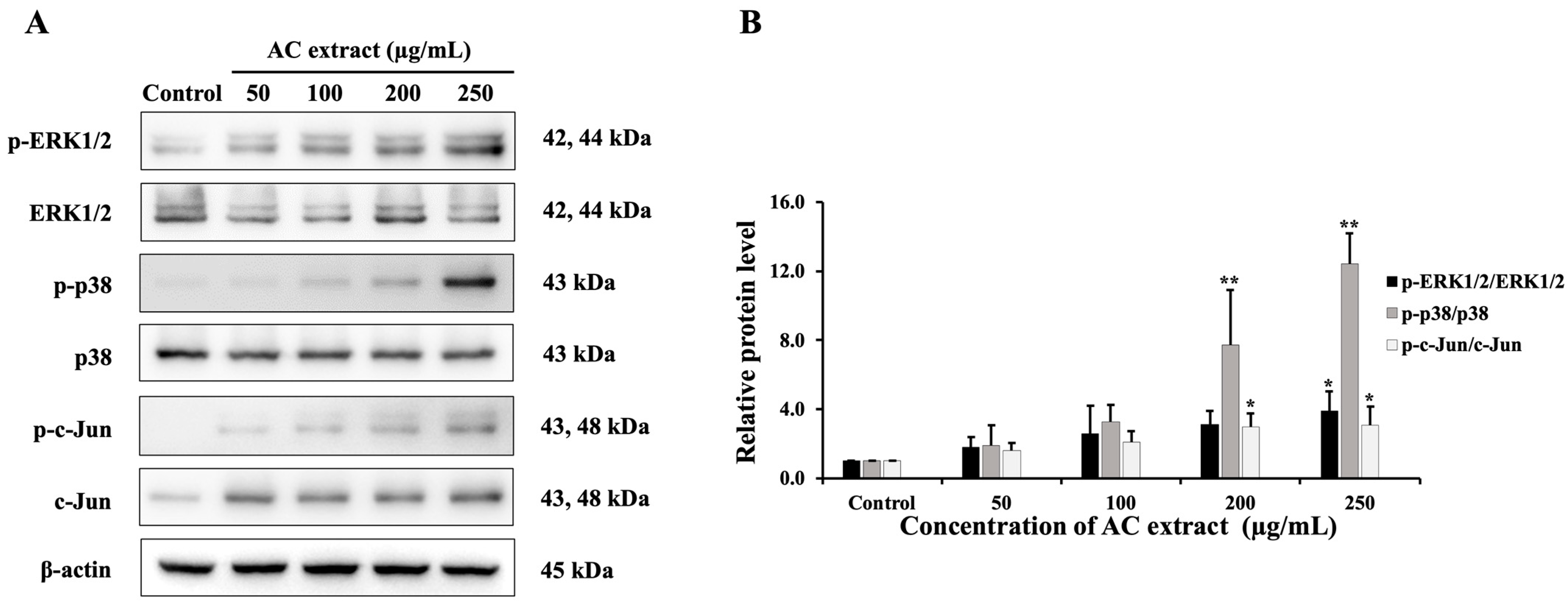 Nutrients 16 03764 g008 Nutrients 16 03764 g008