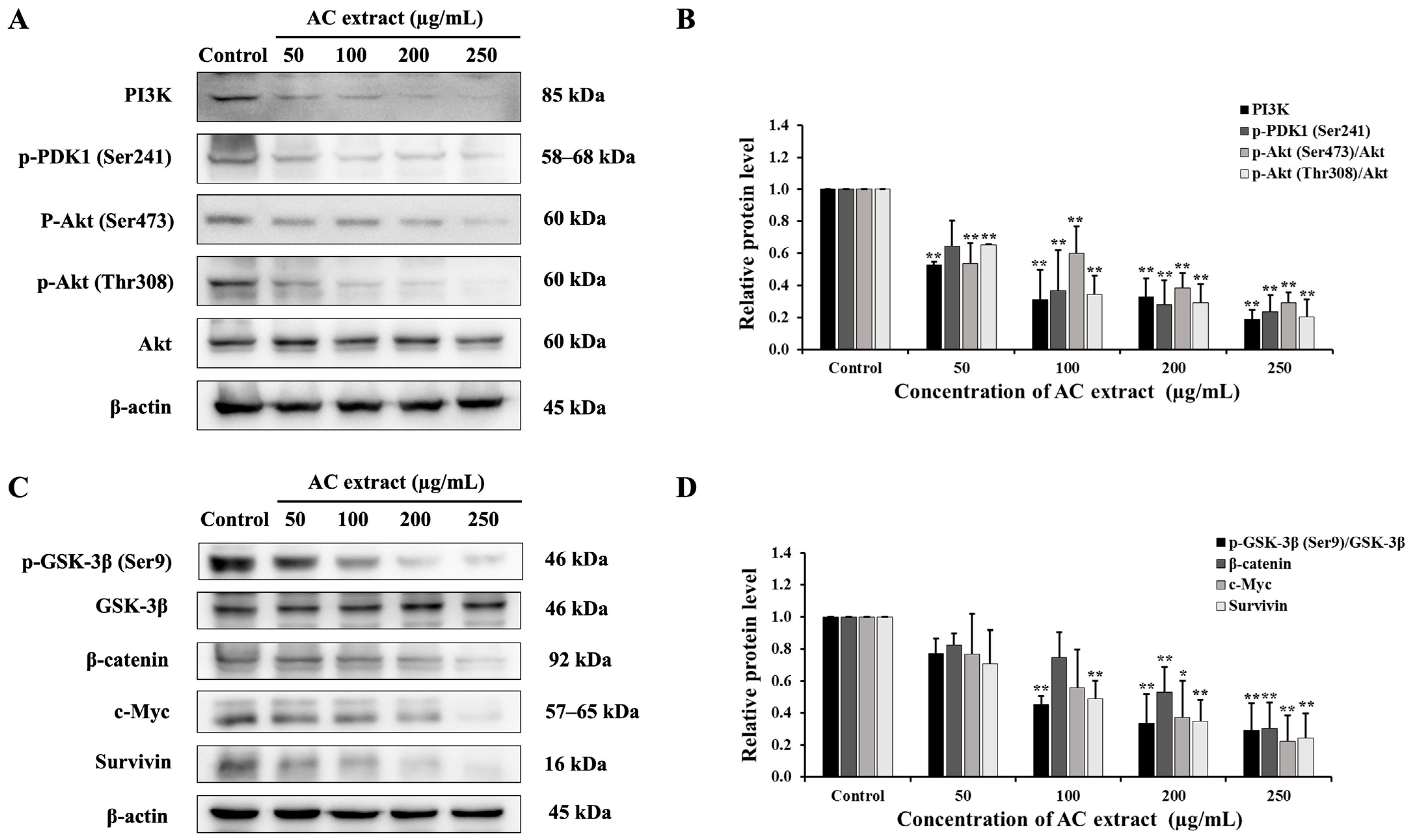 Nutrients 16 03764 g009 Nutrients 16 03764 g009