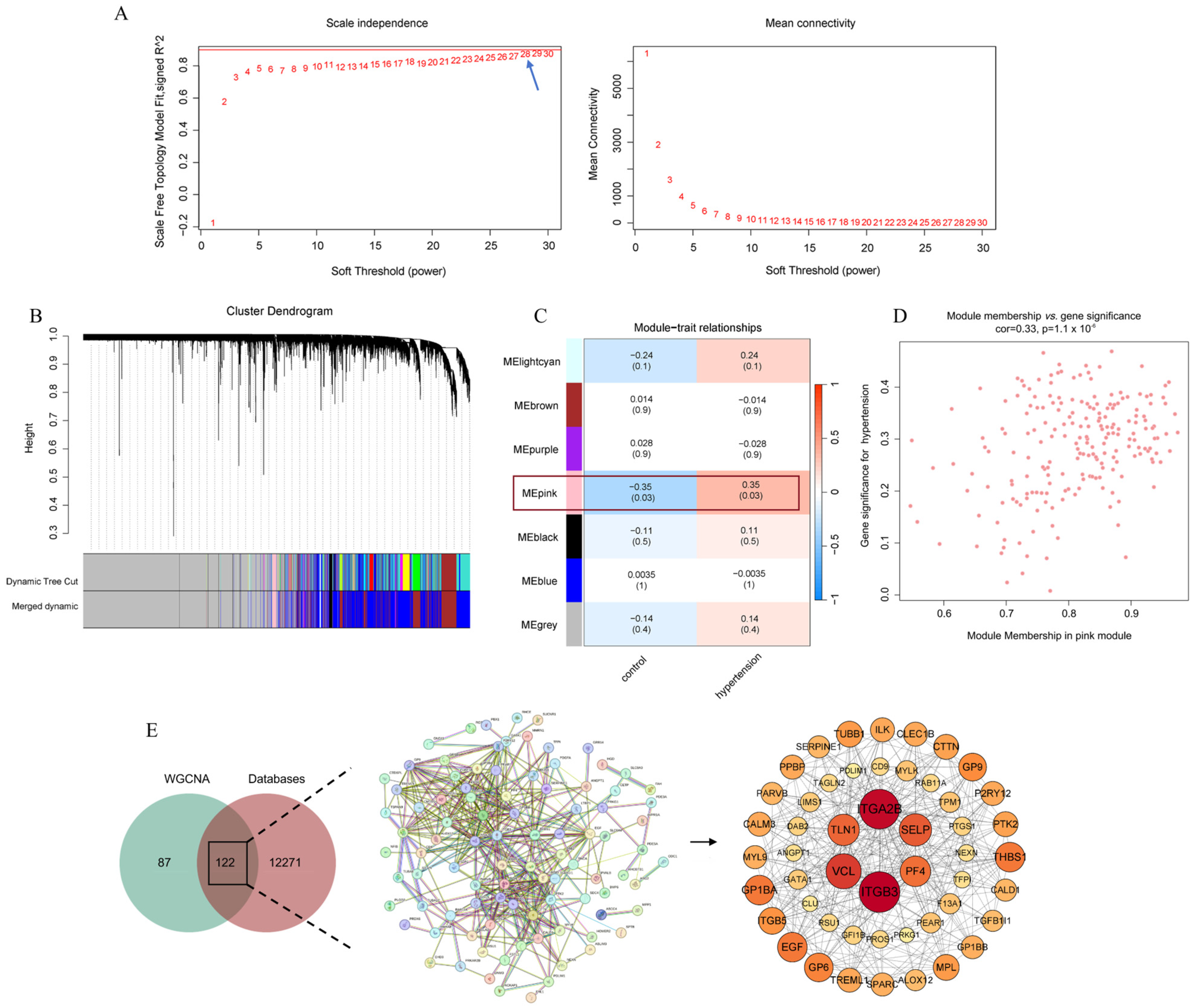 Nutrients 16 03768 g006