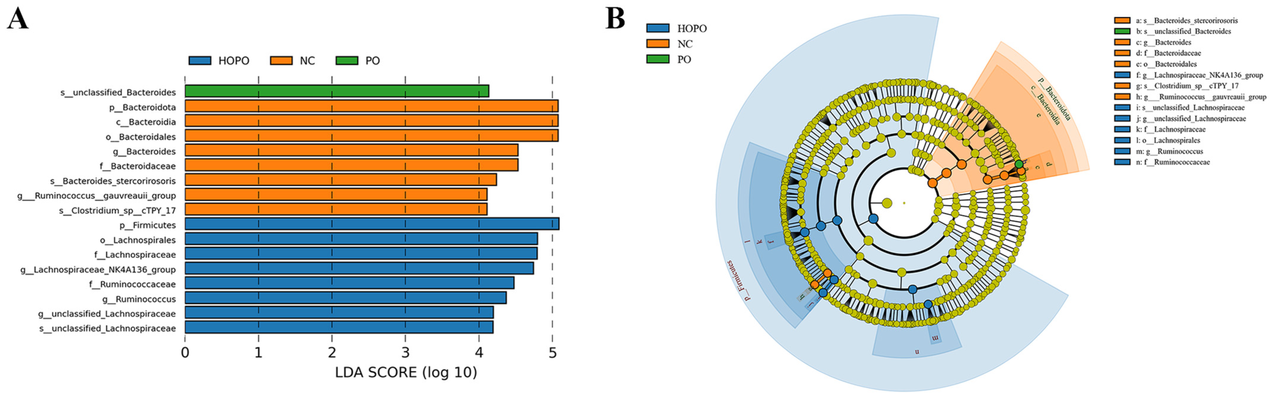 Nutrients 16 03774 g004 Nutrients 16 03774 g004