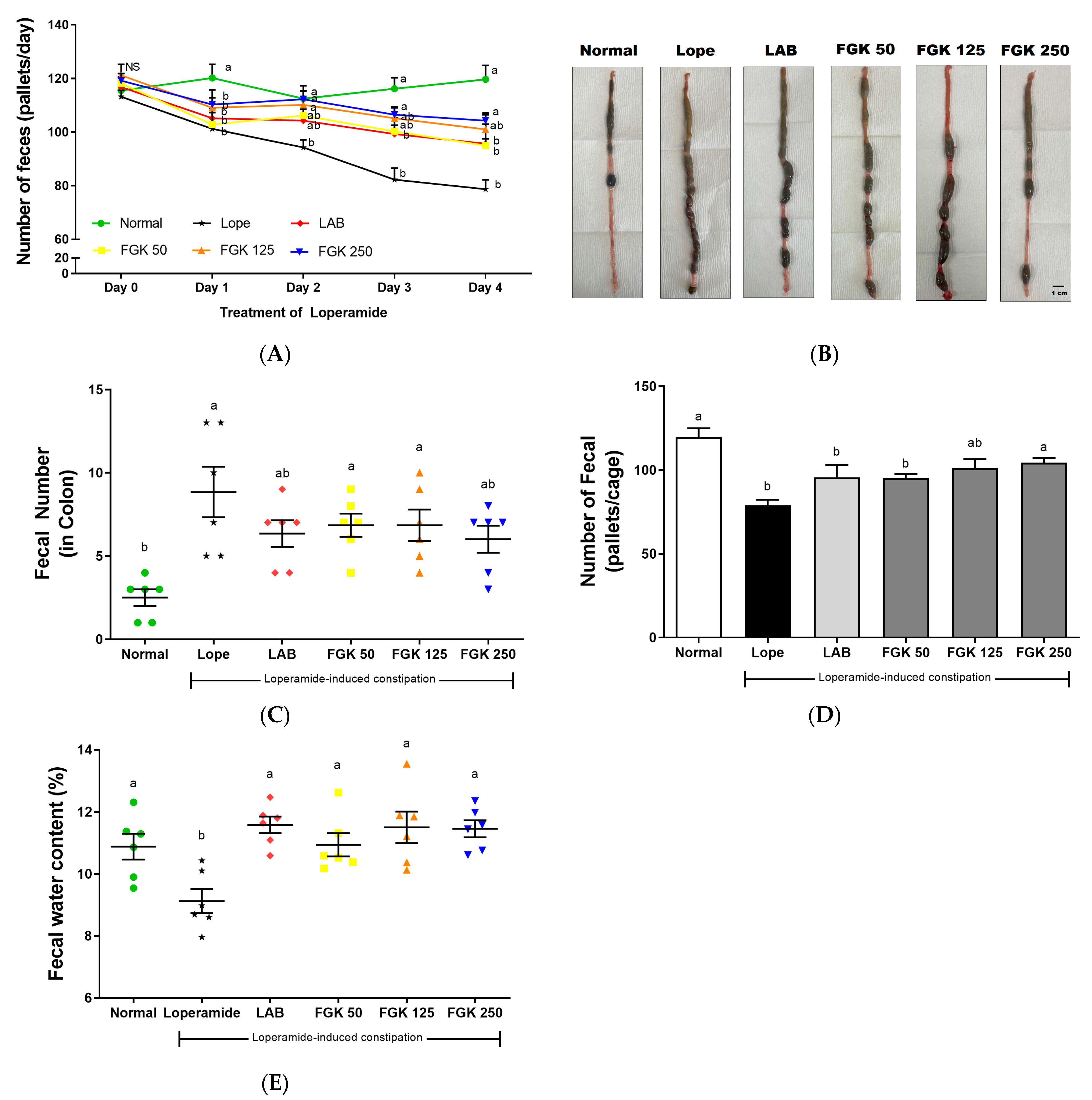 Nutrients 16 03778 g004