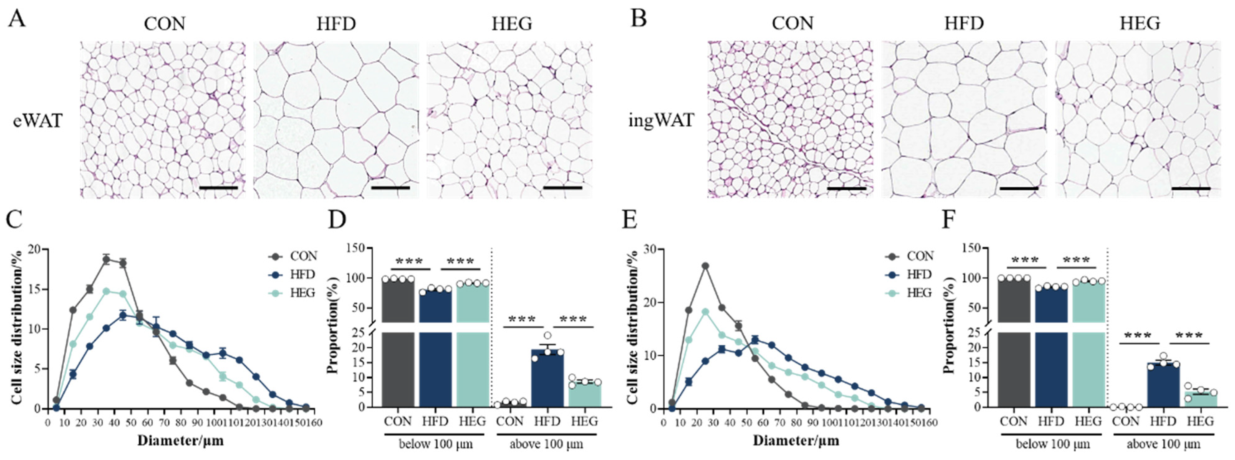 Nutrients 16 03780 g002
