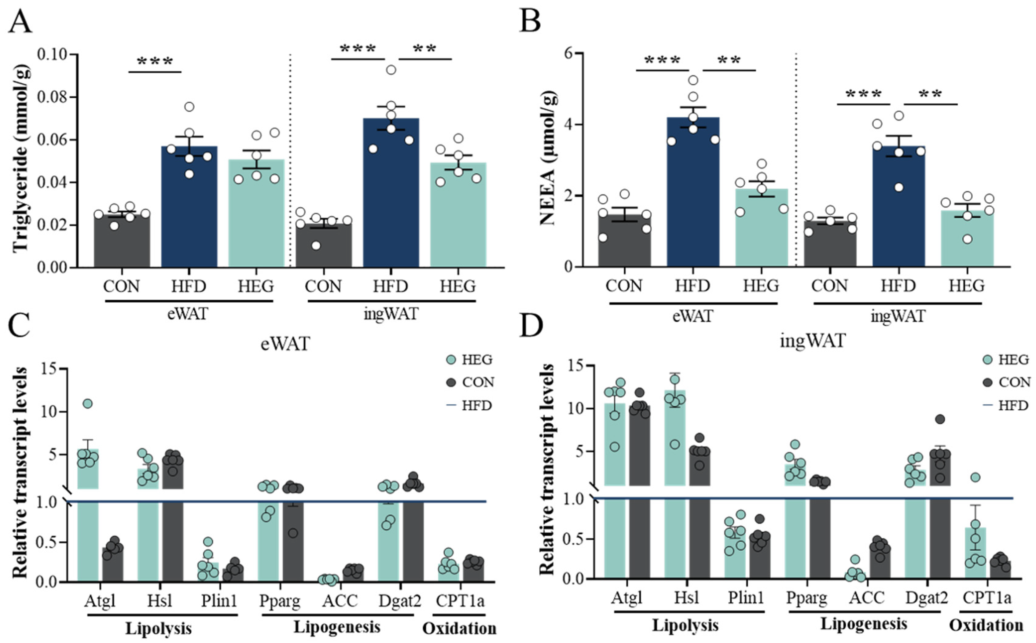 Nutrients 16 03780 g005