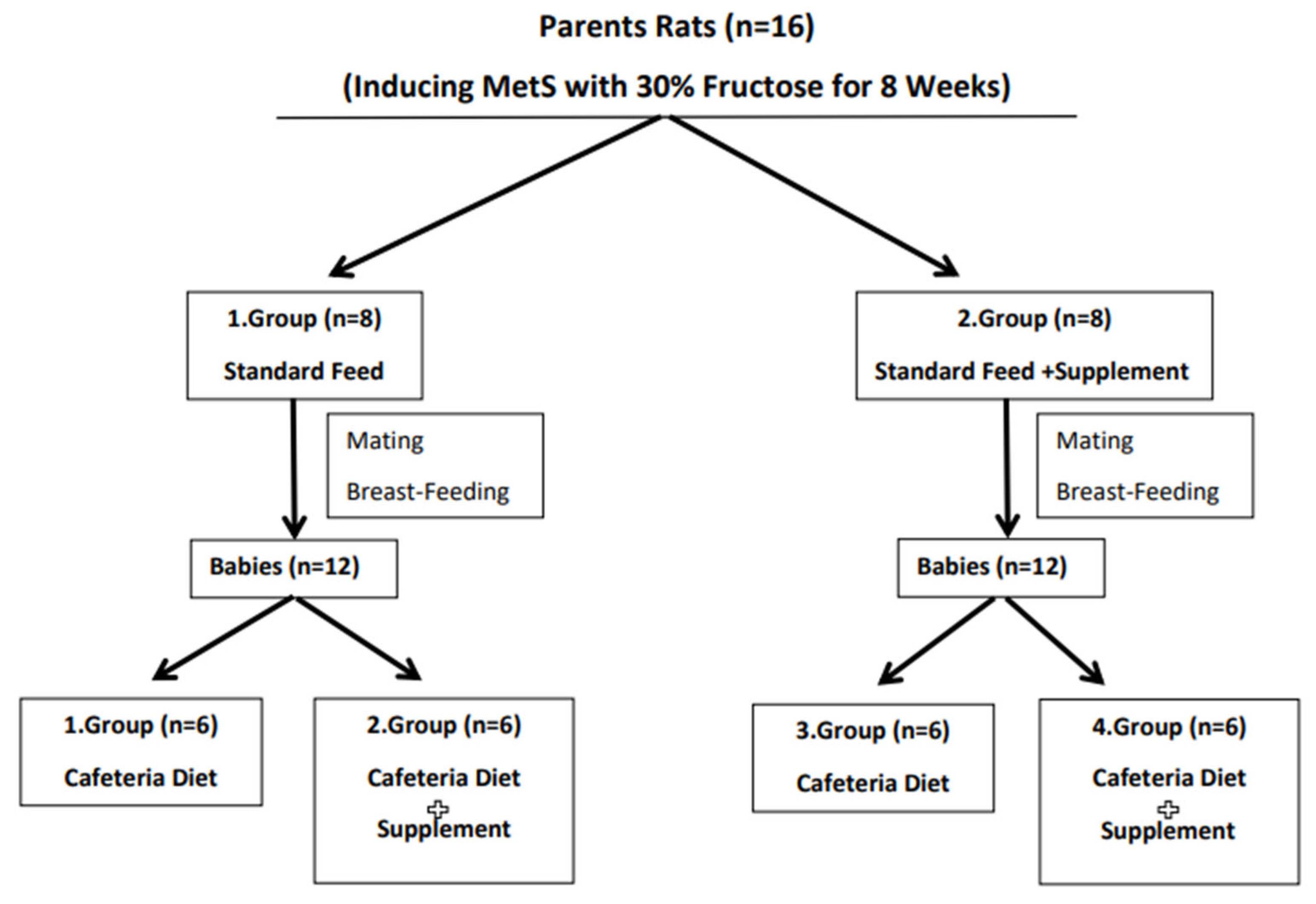 Nutrients 16 03781 g001