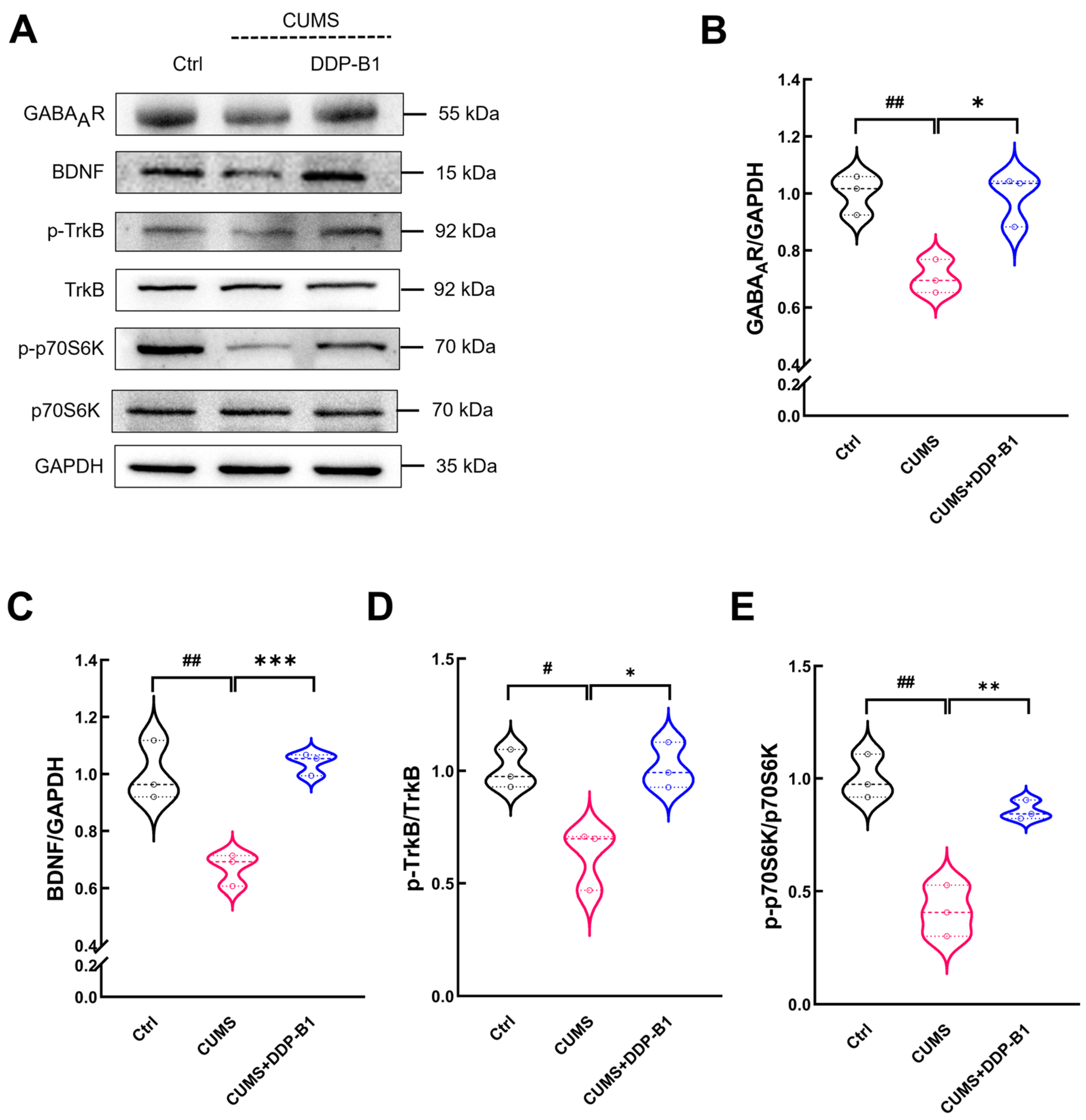 Nutrients 16 03785 g005