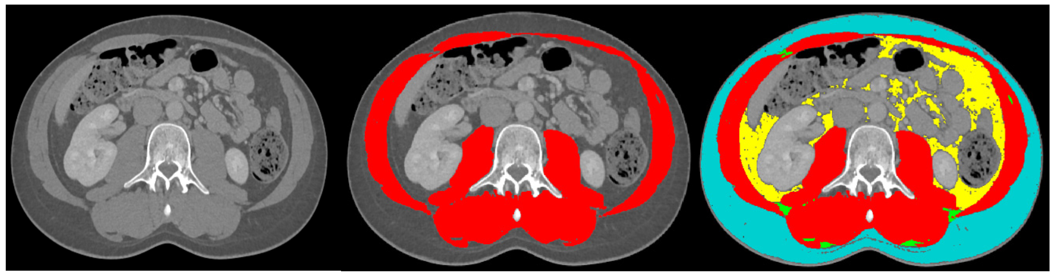 Nutrients 16 03790 g001