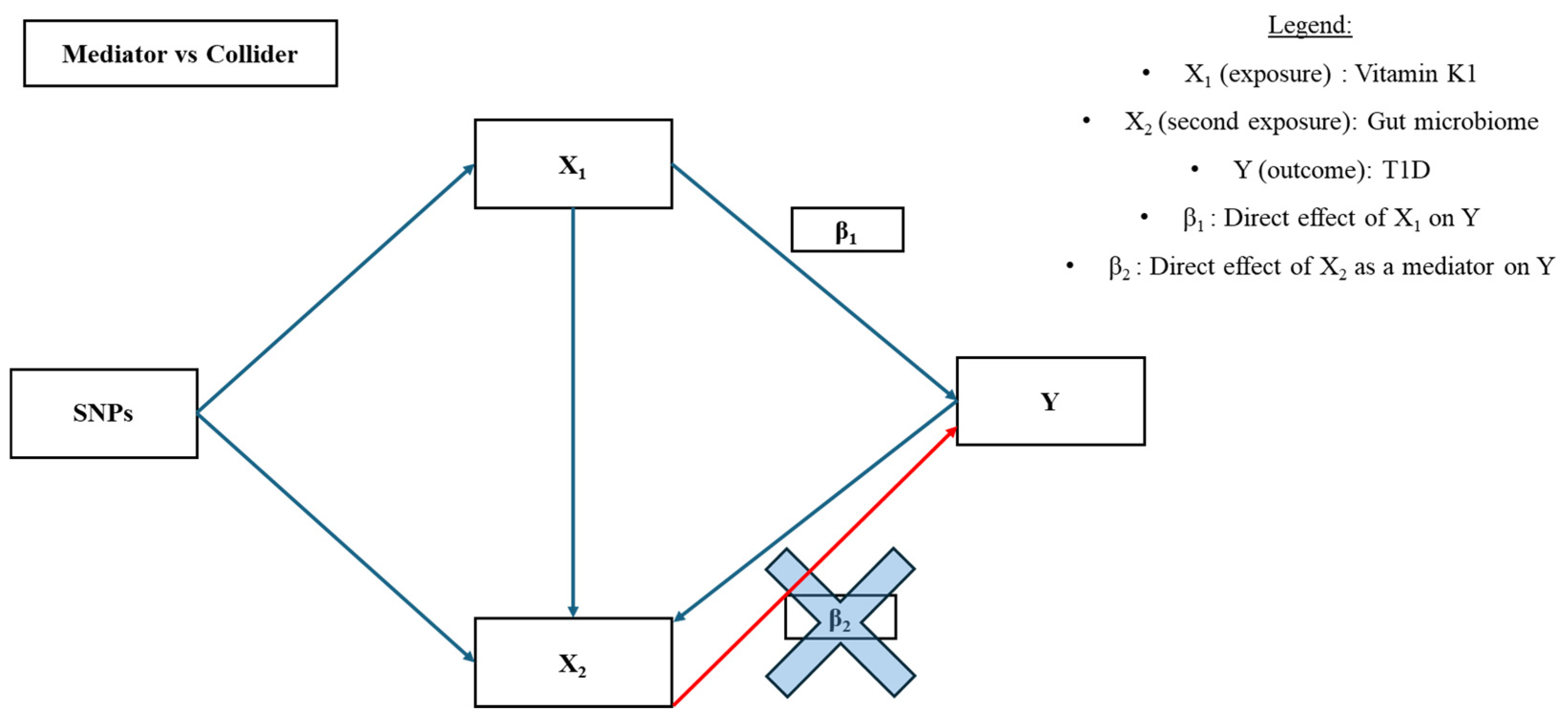 Nutrients 16 03795 g004