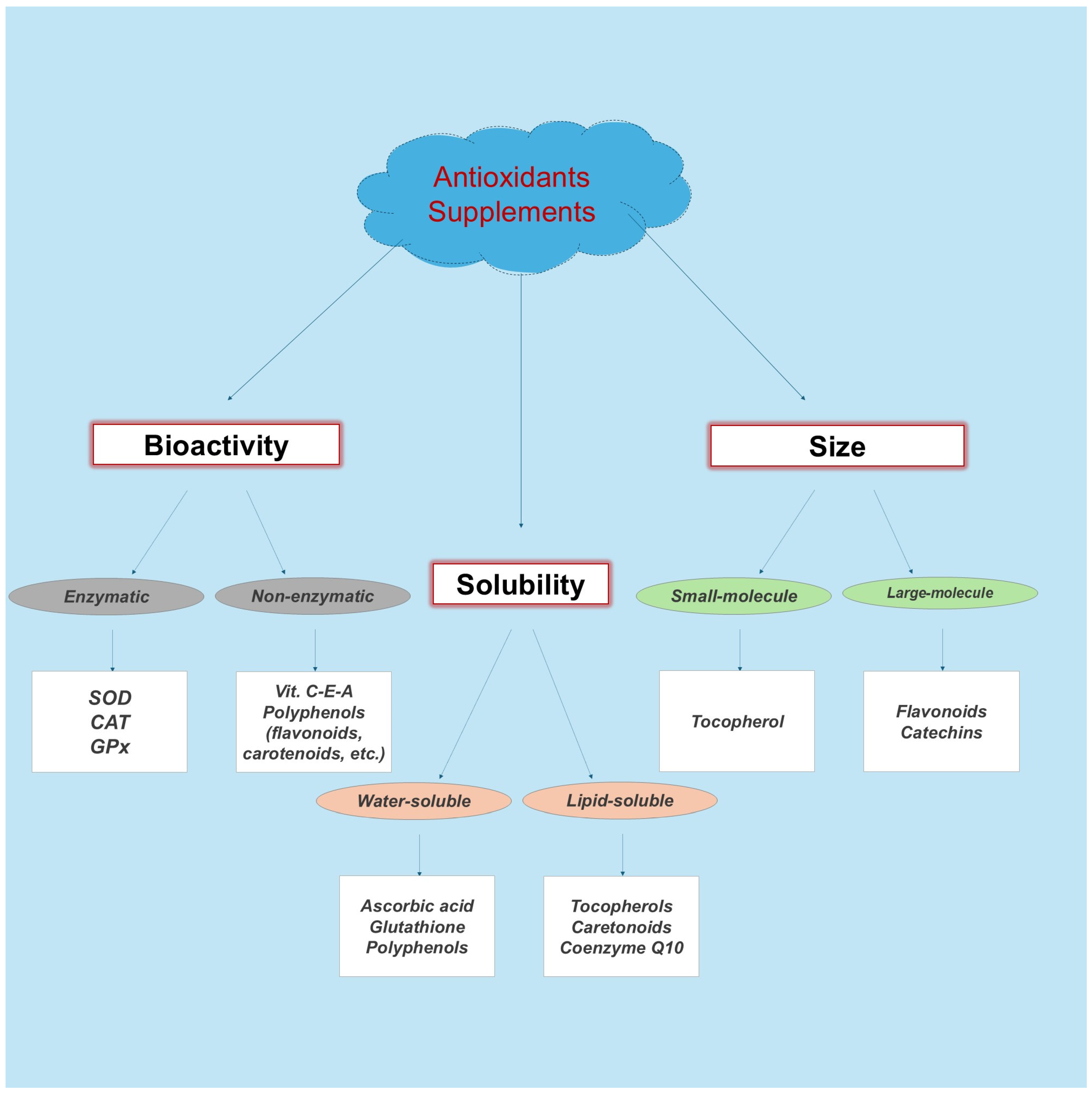 Nutrients 16 03803 g002