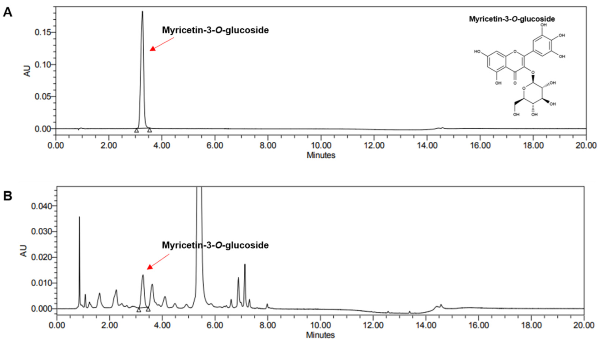 Nutrients 16 03805 g001