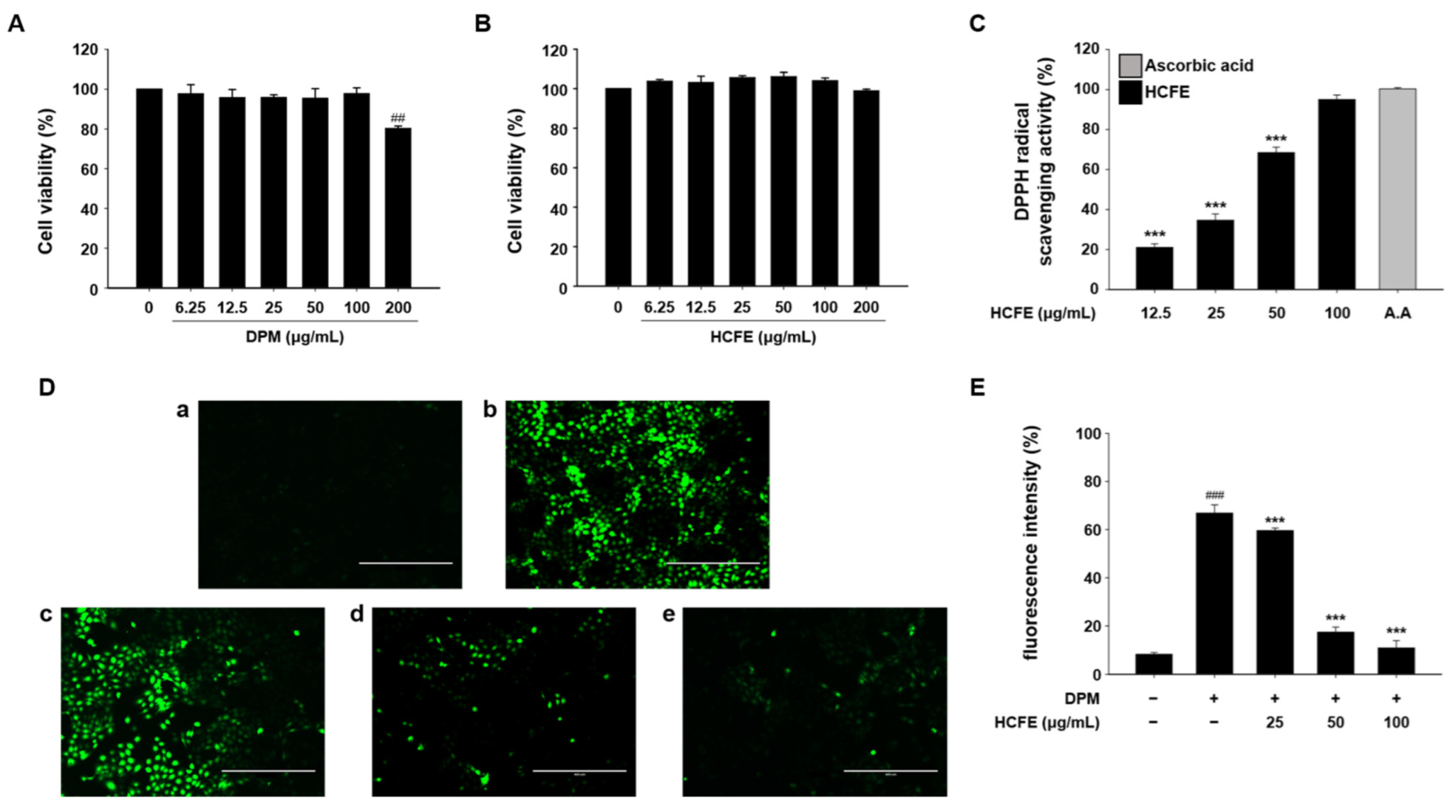 Nutrients 16 03805 g002