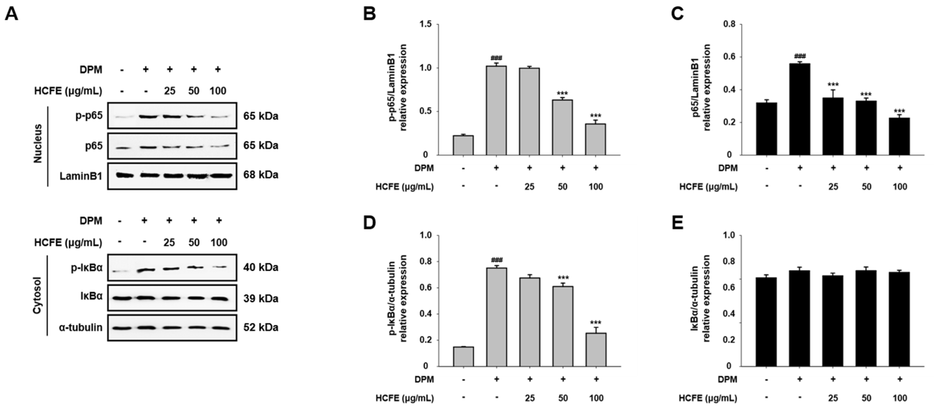 Nutrients 16 03805 g005