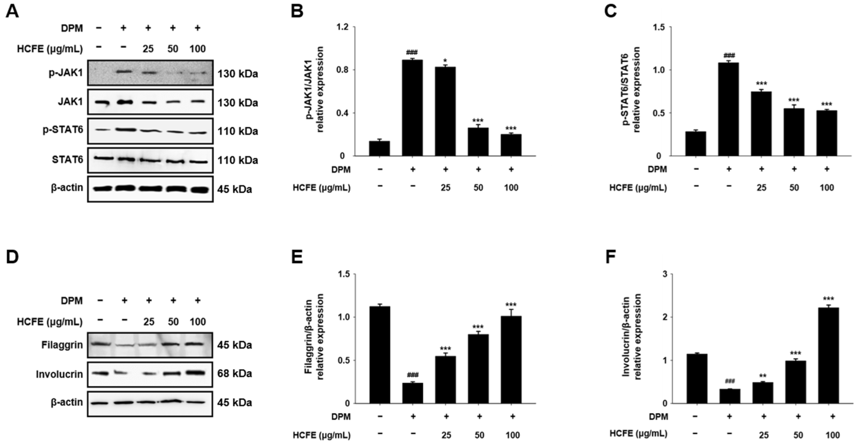 Nutrients 16 03805 g007