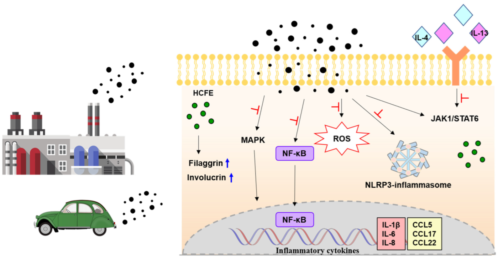 Nutrients 16 03805 g008